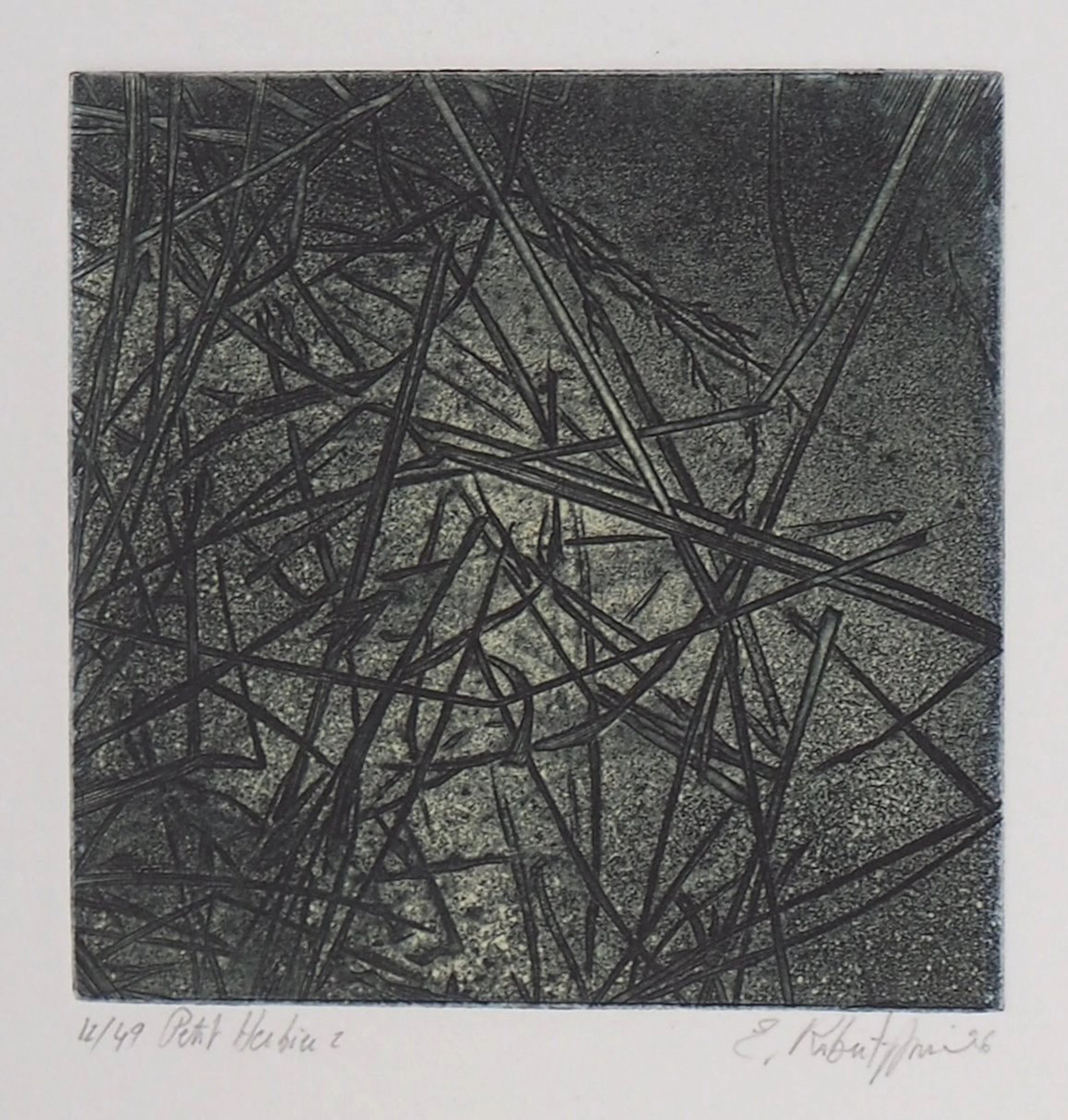 Eric ROBERT-AYME : Herbiers éclatées, 1996 - Gravure originale signée