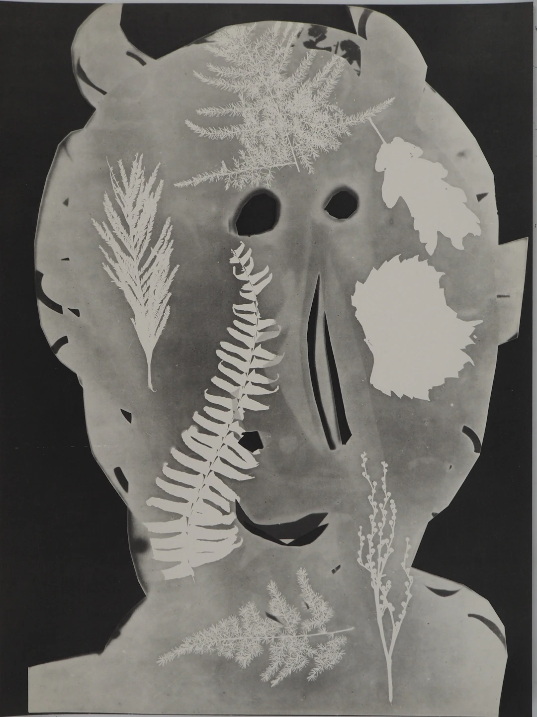 Pablo PICASSO : Diurnes, Torbi, Phototypie originale