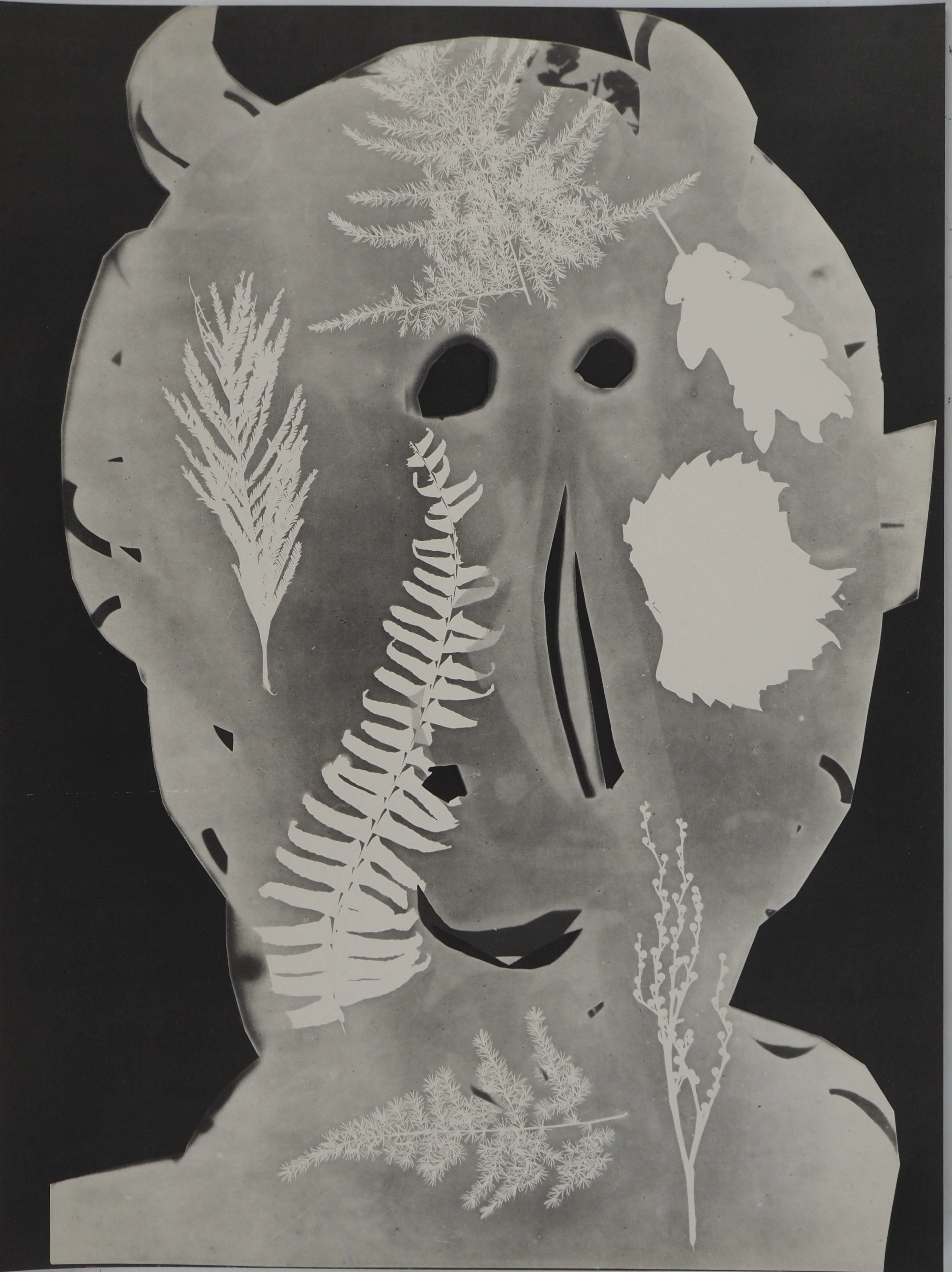 Pablo PICASSO : Diurnes, Torbi, Phototypie originale
