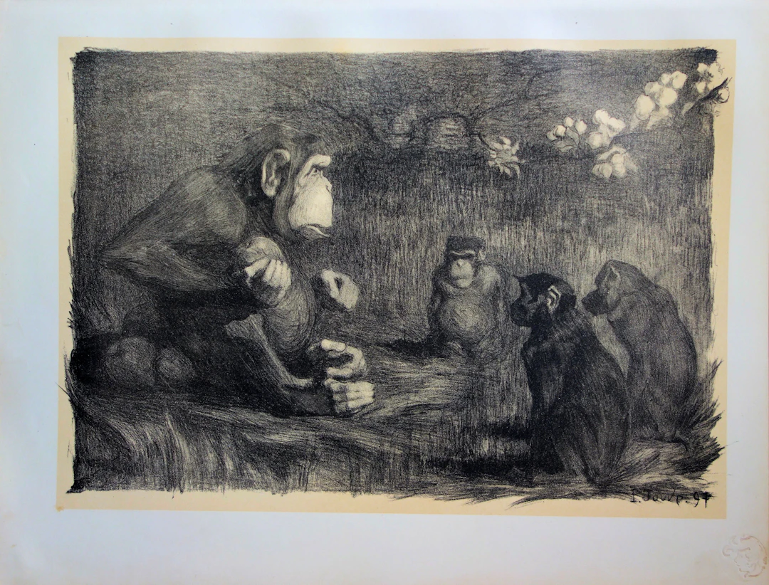 Paul JOUVE - Les singes : le jugement de Paris, Lithographie originale
