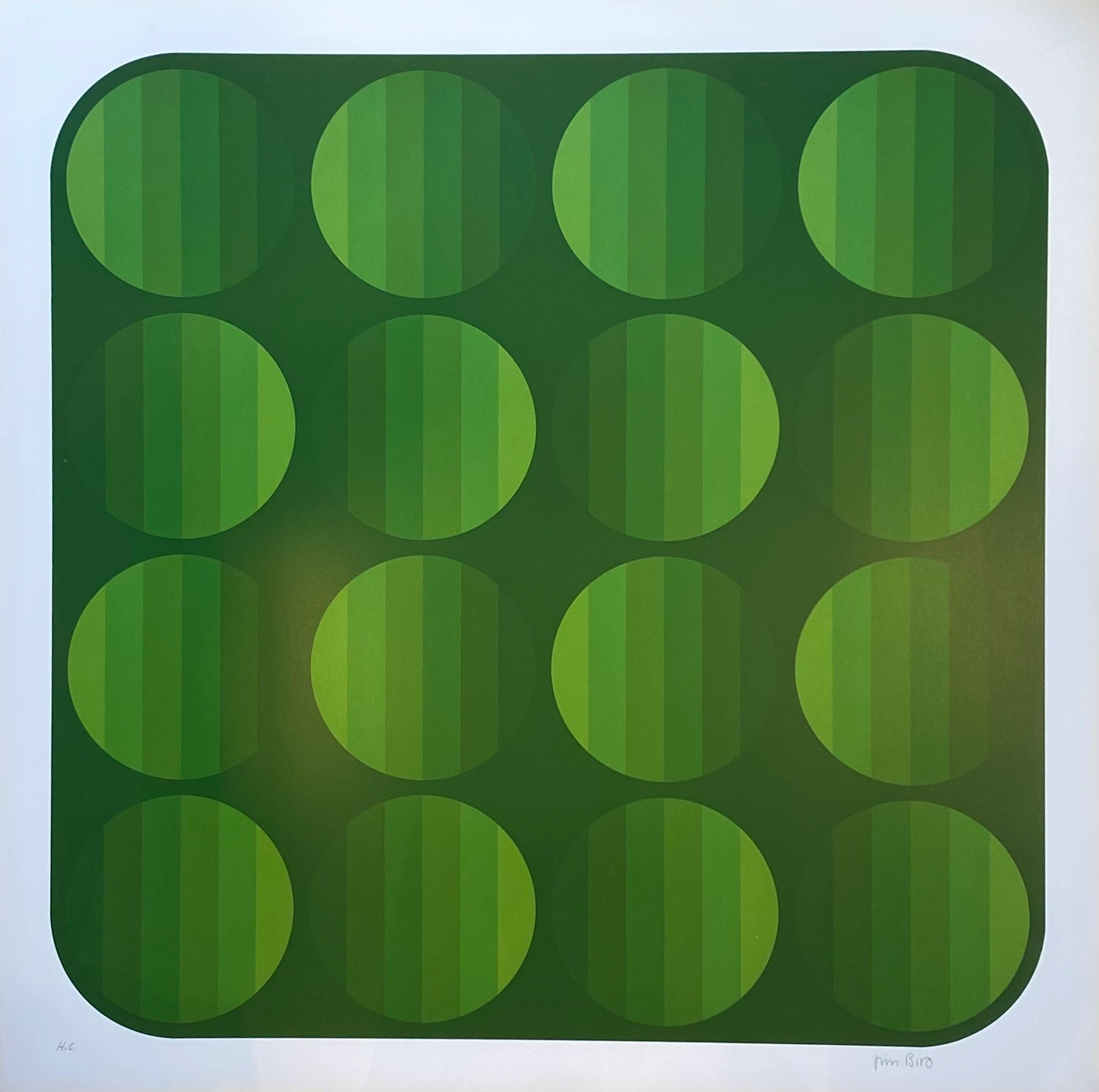 Jim Bird - Tribute to Vasarely - Photolithographie