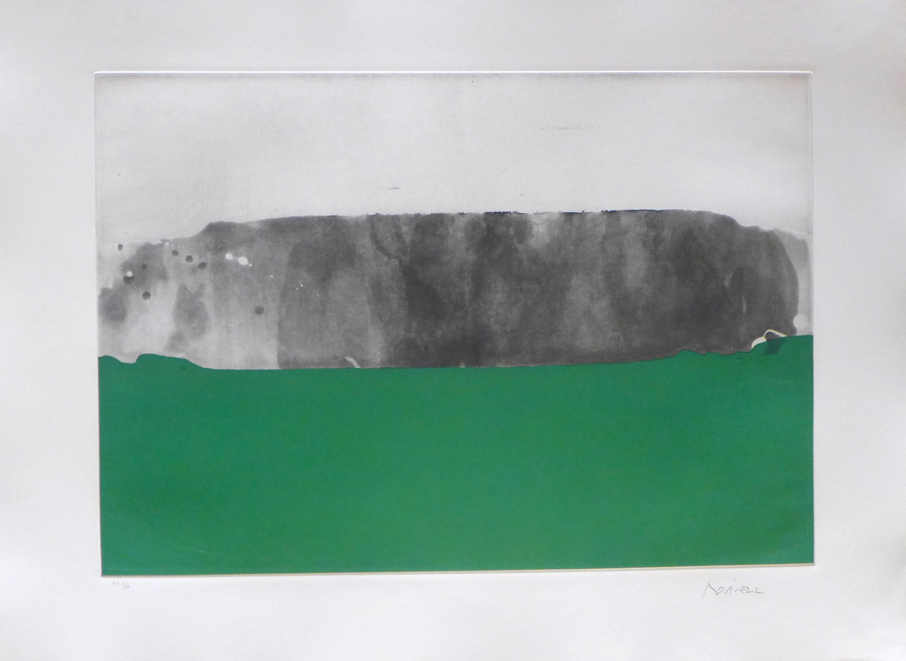 Alfons BORRELL PALAZON - Paitsage 1, 1992 - Gravure originale signée au crayon