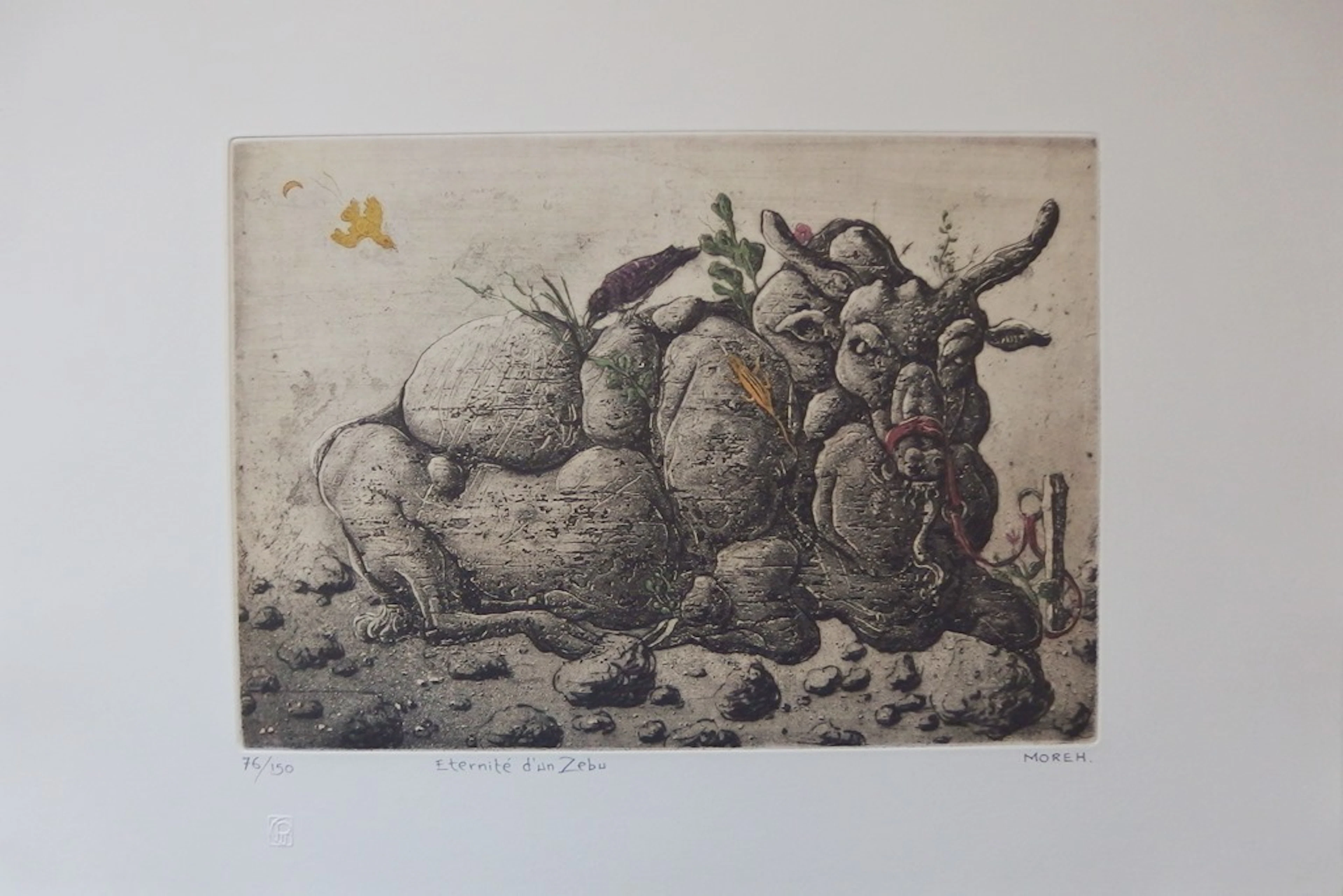 Mordecaï MOREH - Eternité d’un Zebu - Eau-forte et aquatinte originale signée