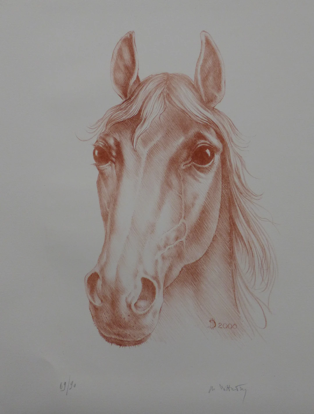 Marc DAUTRY - Portrait de cheval de course, 2000 - Lithographie originale