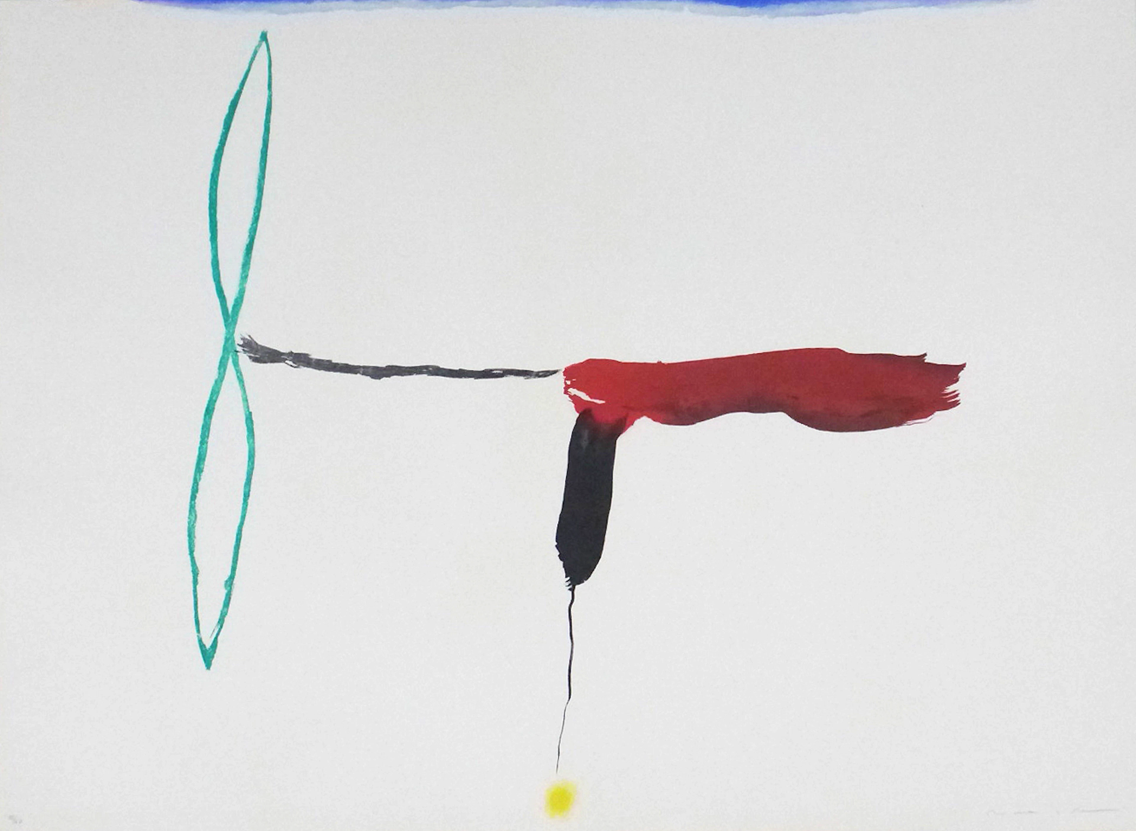 Josep Maria RIERA I ARAGO - Avion helice verde, 2010, gravure