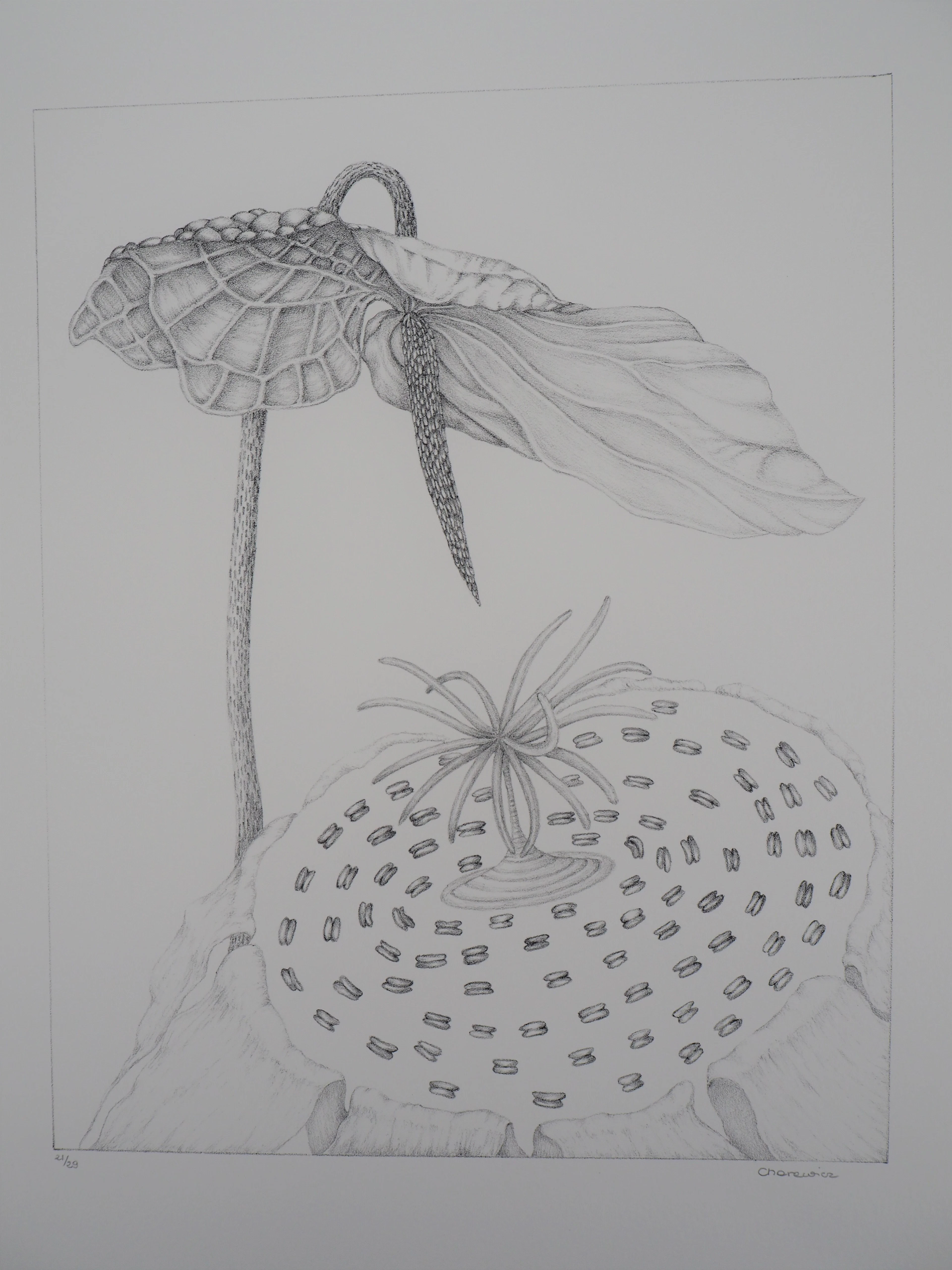 Gochka Charewicz - L’arum - Lithographie originale signée