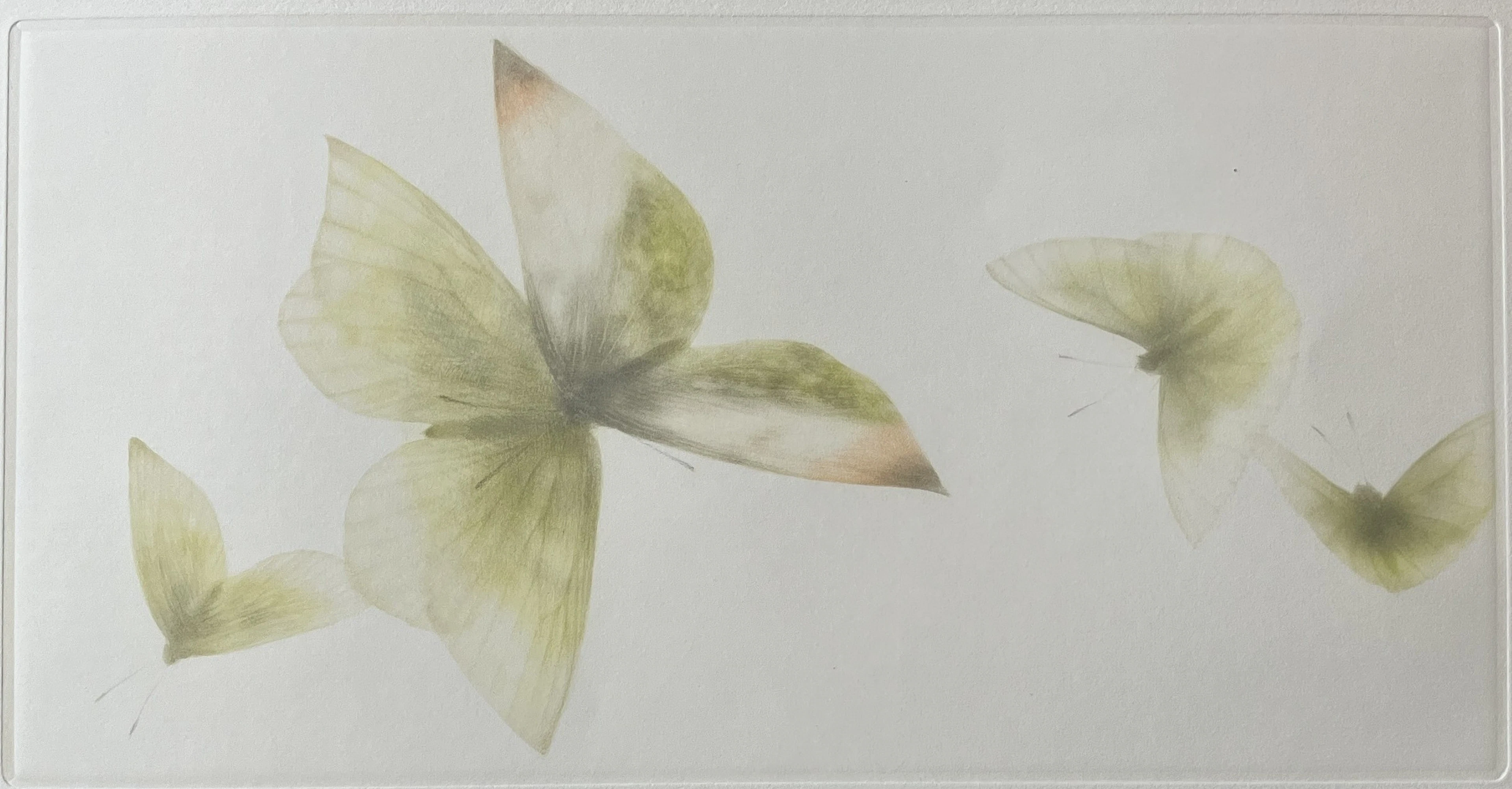 Mikio WATANABE - "Brise passagère", 2021, gravure à la manière noire