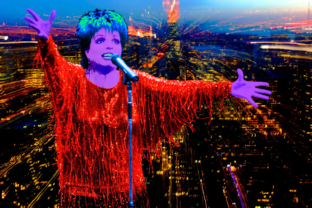 Francis APESTEGUY - Liza Minnelli, 2007 - Tirage numérique signé