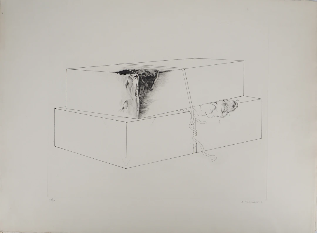 TITUS-CARMEL - La détérioration des deux boites: contamination, 1971