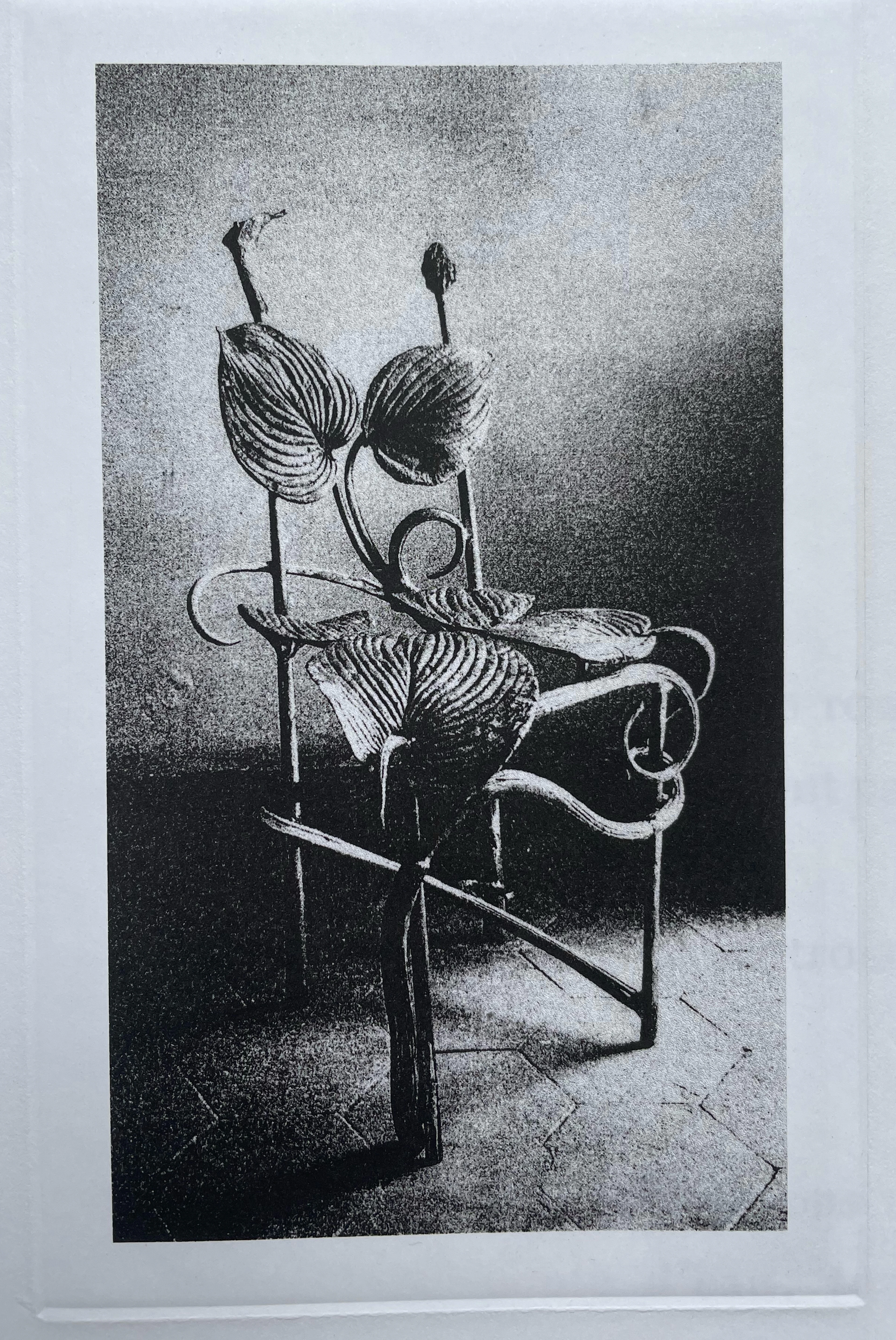 Claude Lalanne (1925-2019) - Chaise Horta - héliogravure sur papier