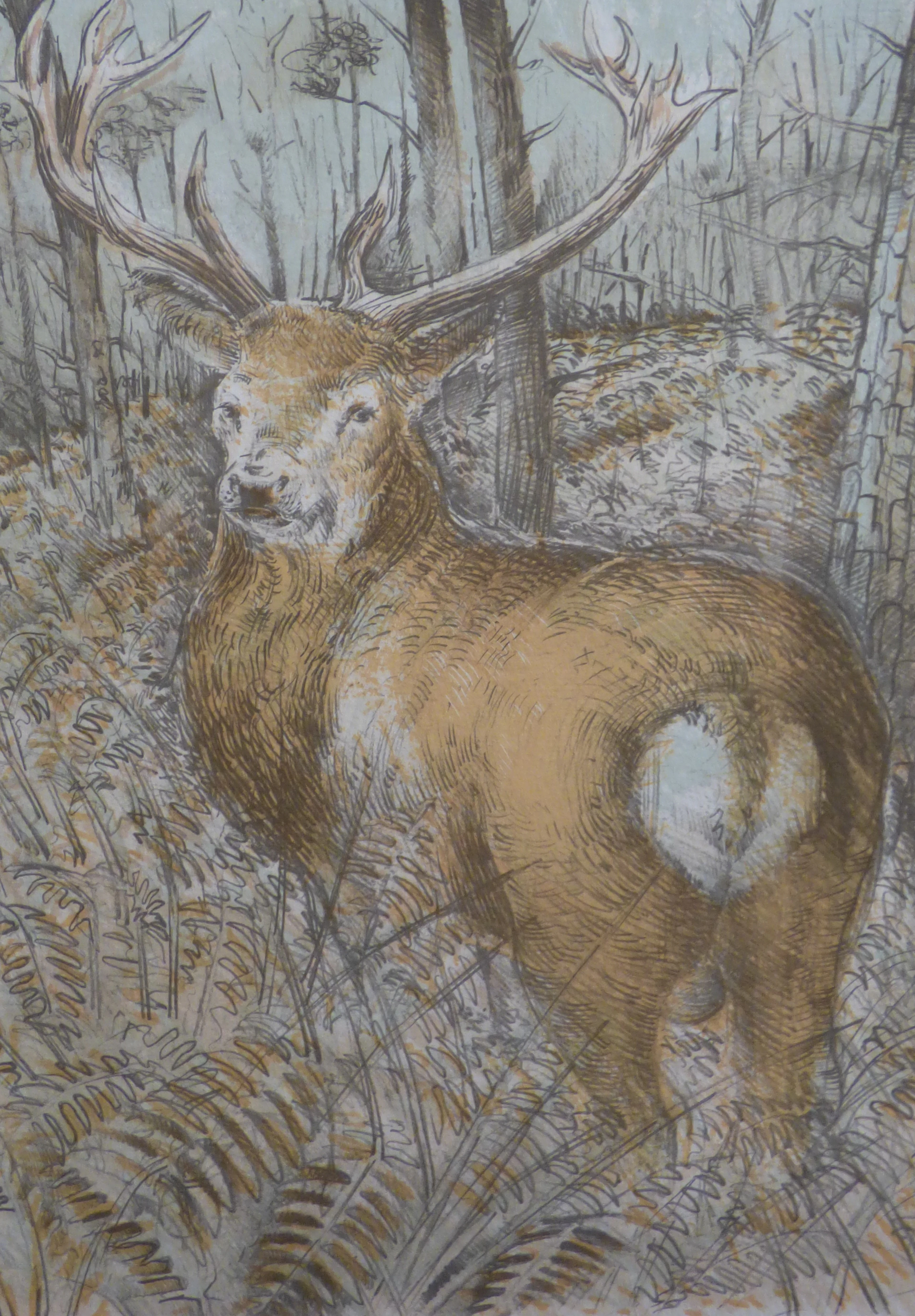 Blaise PRUD’HON - Le cerf - Lithographie originale signée
