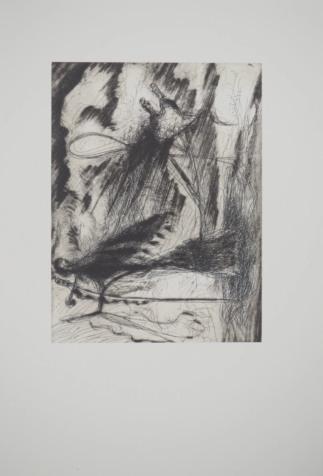 Gérard GAROUSTE : Sabre, Héliogravure
