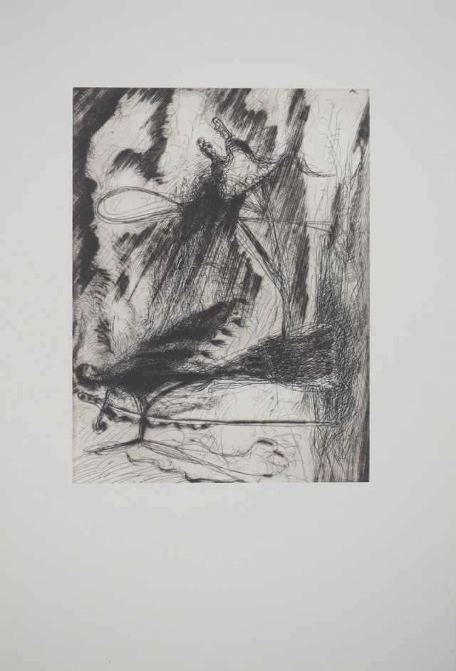 Gérard GAROUSTE : Sabre, Héliogravure