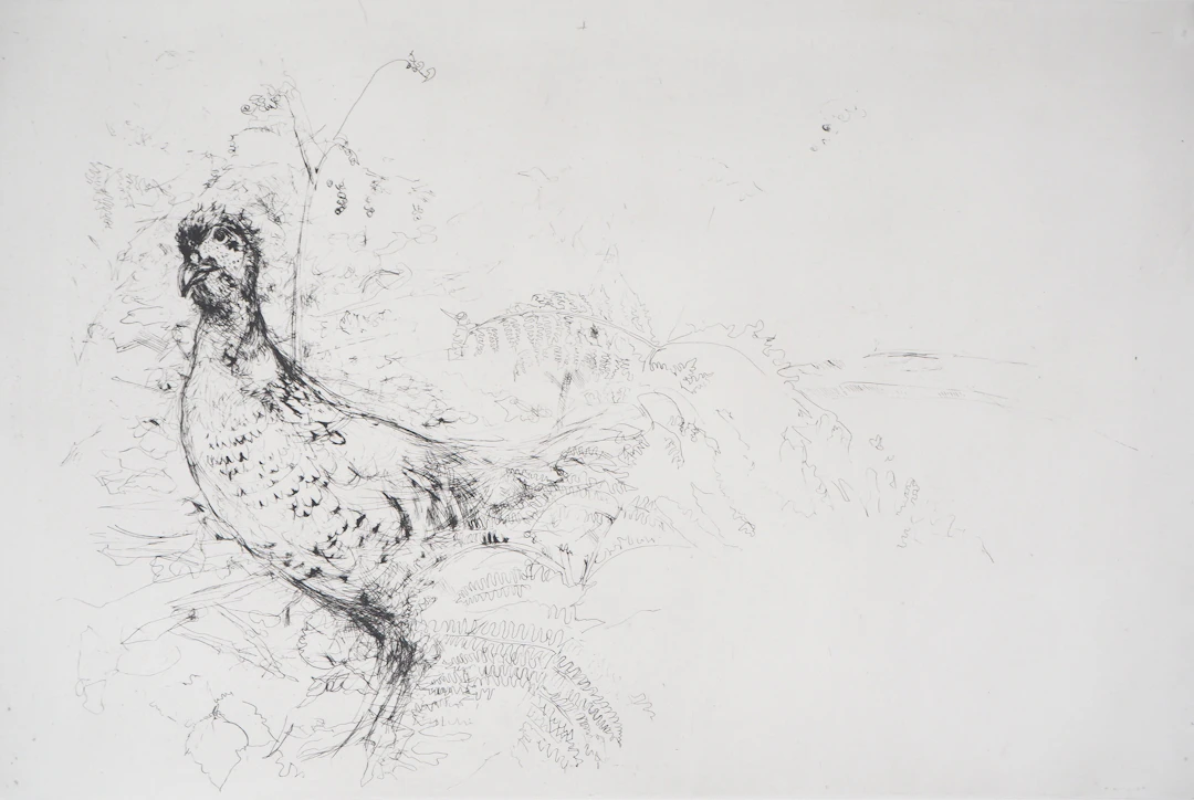 Yves- Jean COMMERE : Poule faisane - Gravure originale signée