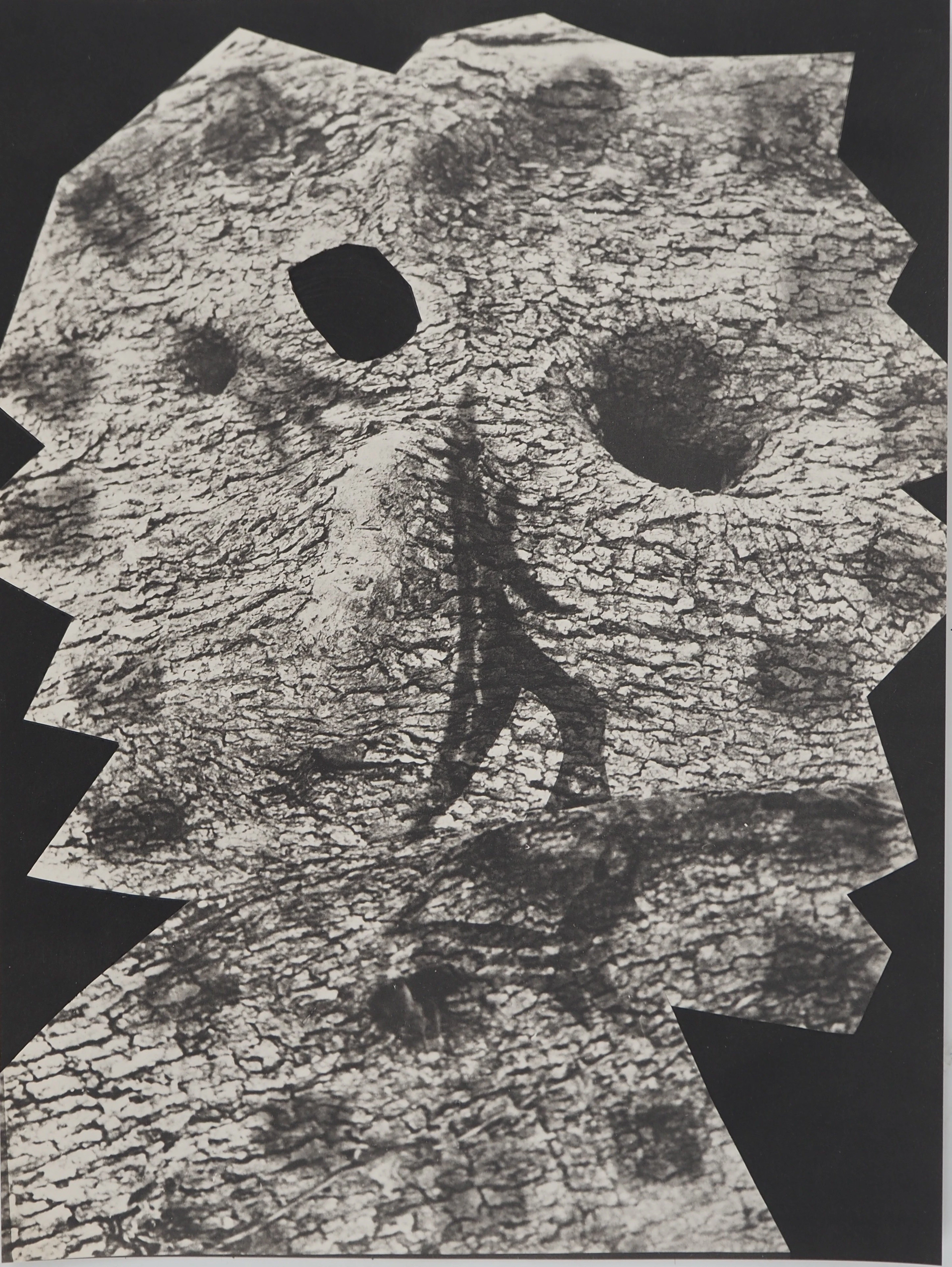 Pablo PICASSO : Diurnes, Le plus profond silence, Phototypie originale