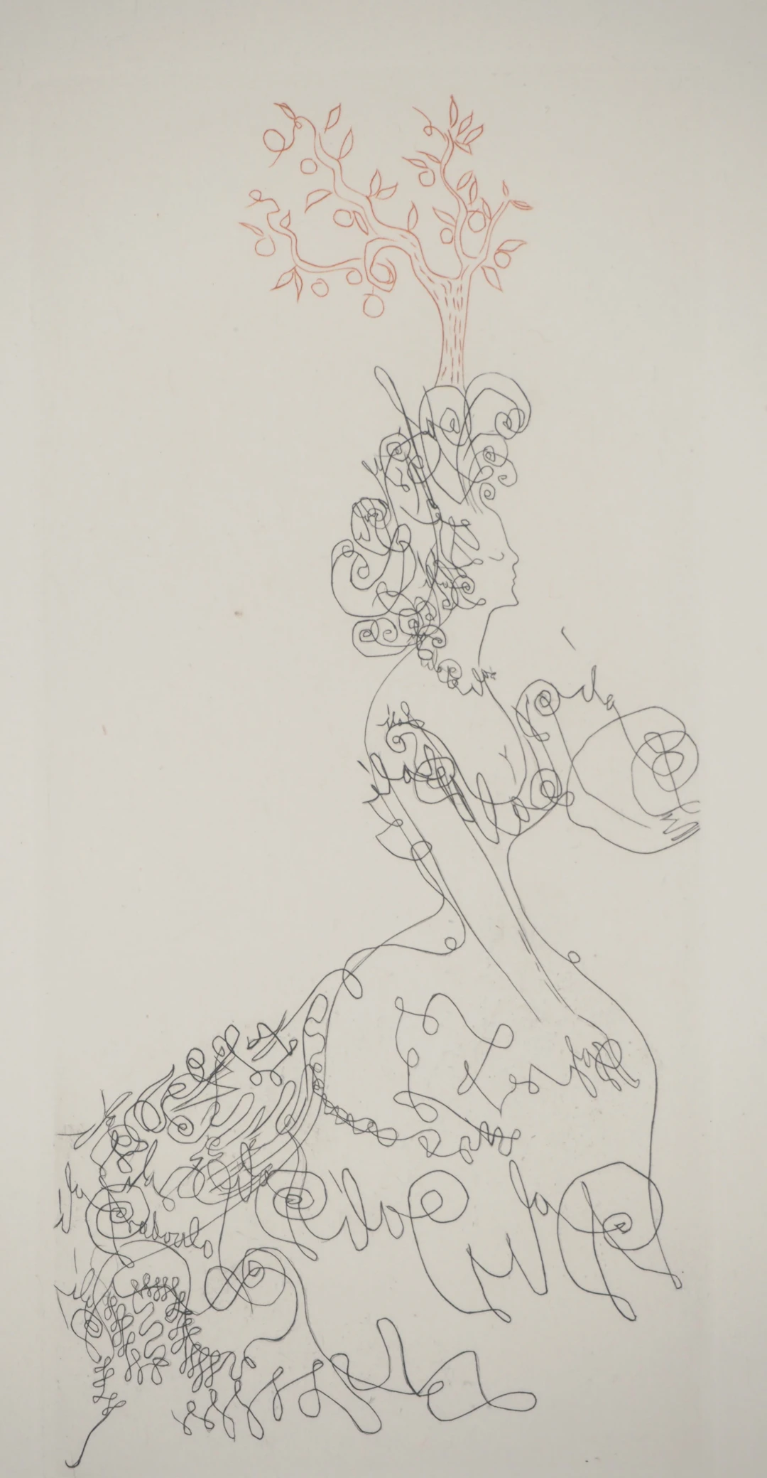 Salvador DALI : La dame de l’orangerie, Gravure originale signée