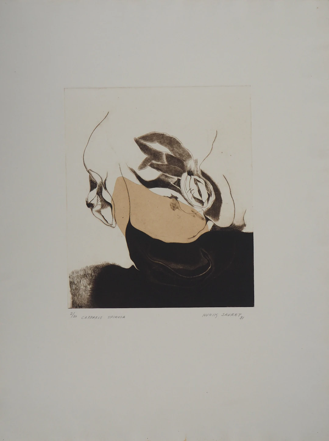 Nunik SAURET : Capparis spinosa, 1981 - Gravure originale signée au crayon