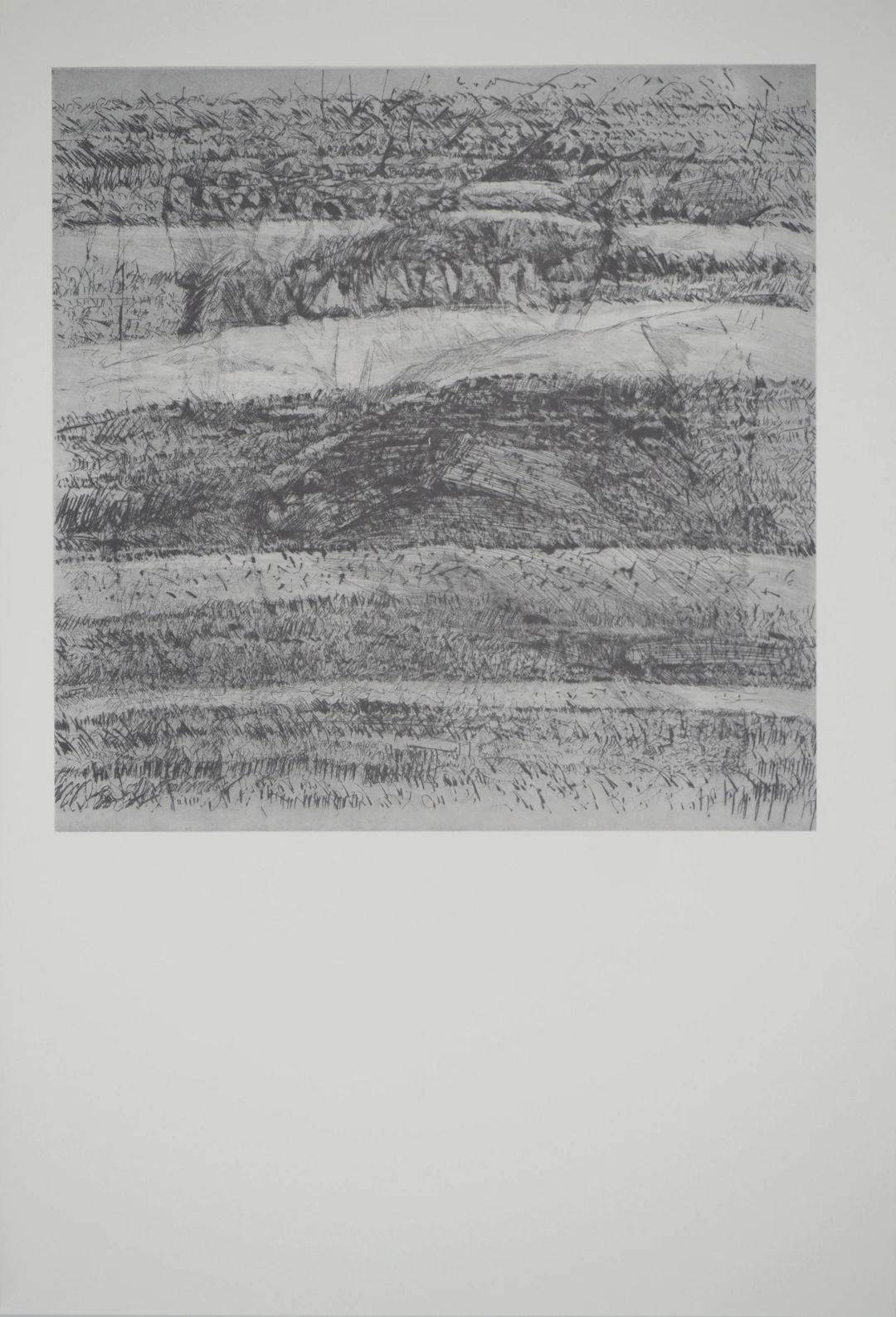 François BEALU : Paysage de plaine, Héliogravure