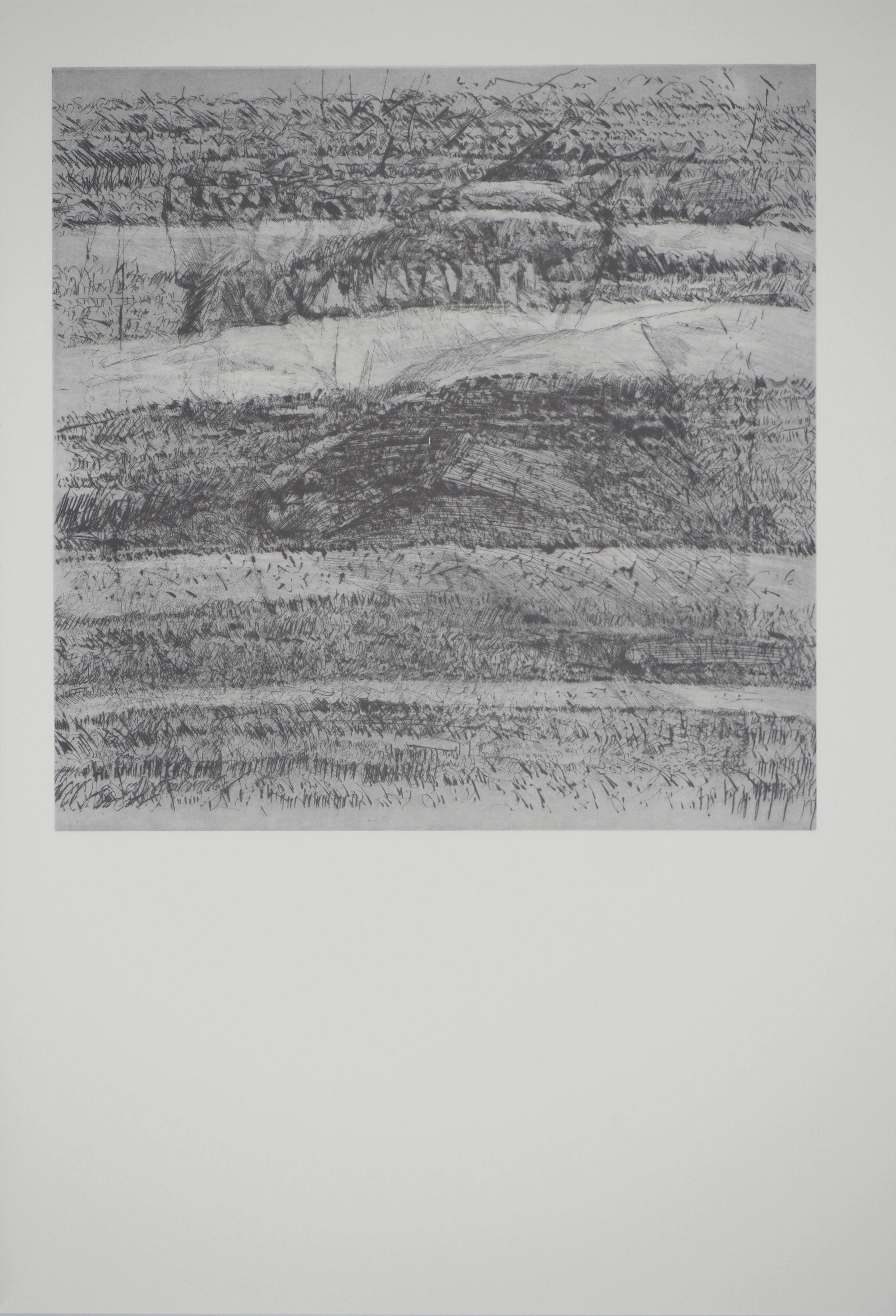 François BEALU : Paysage de plaine, Héliogravure