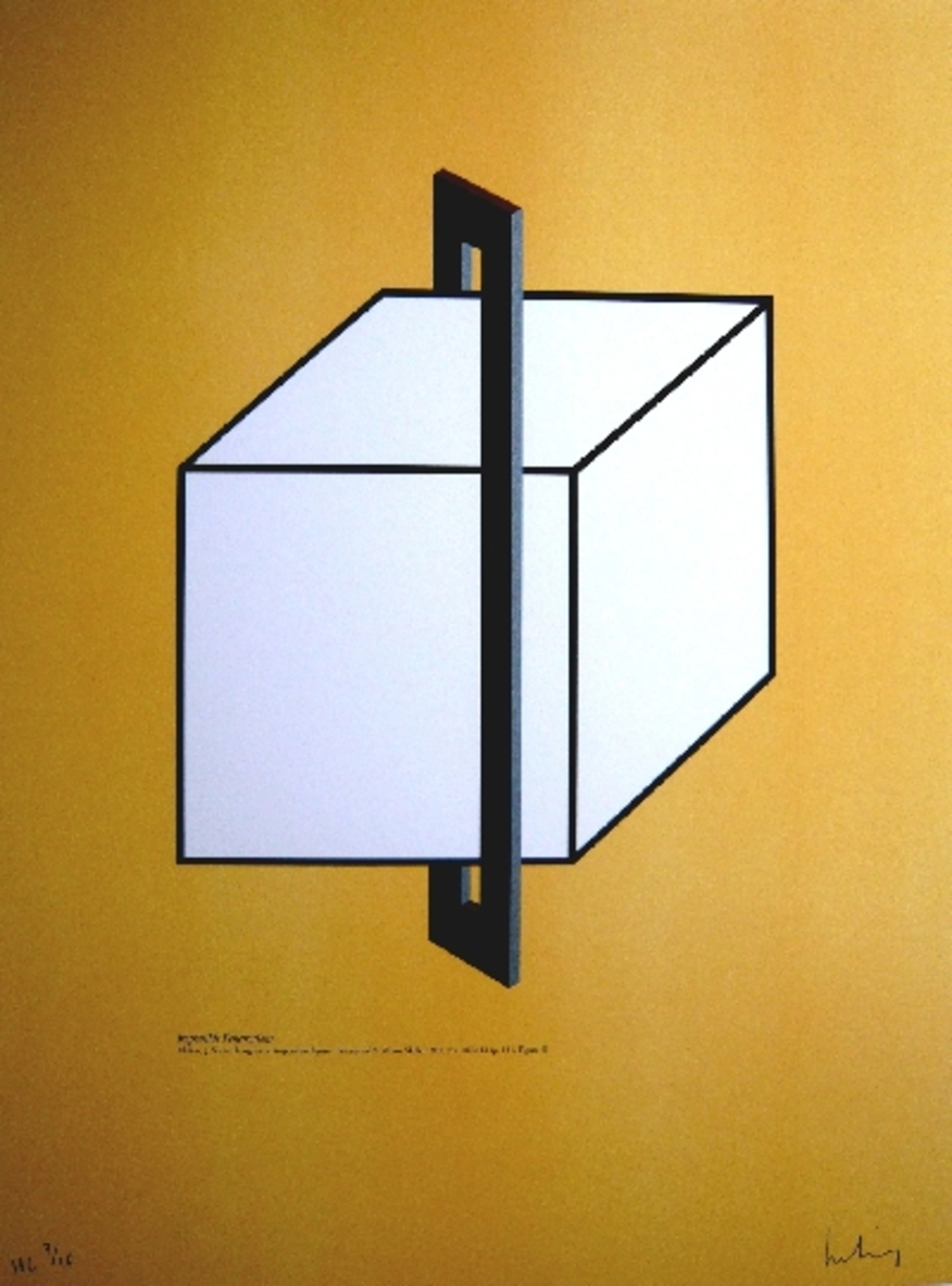 Josep MOLINS - Penetracion imposible, 2003 - Lithographie signée