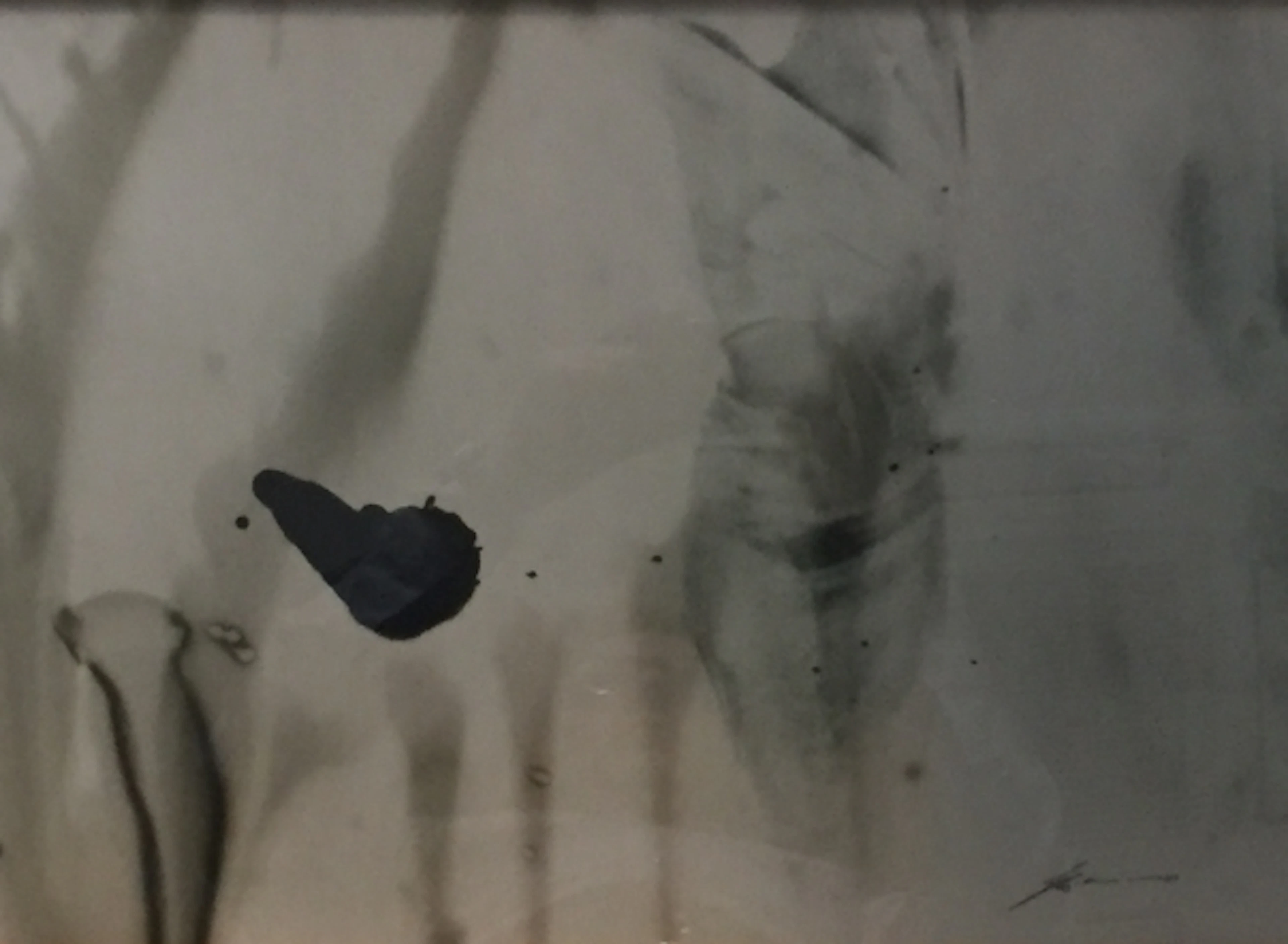 Werner BRANZ - The Spot, 1973 - Photolithographie signée
