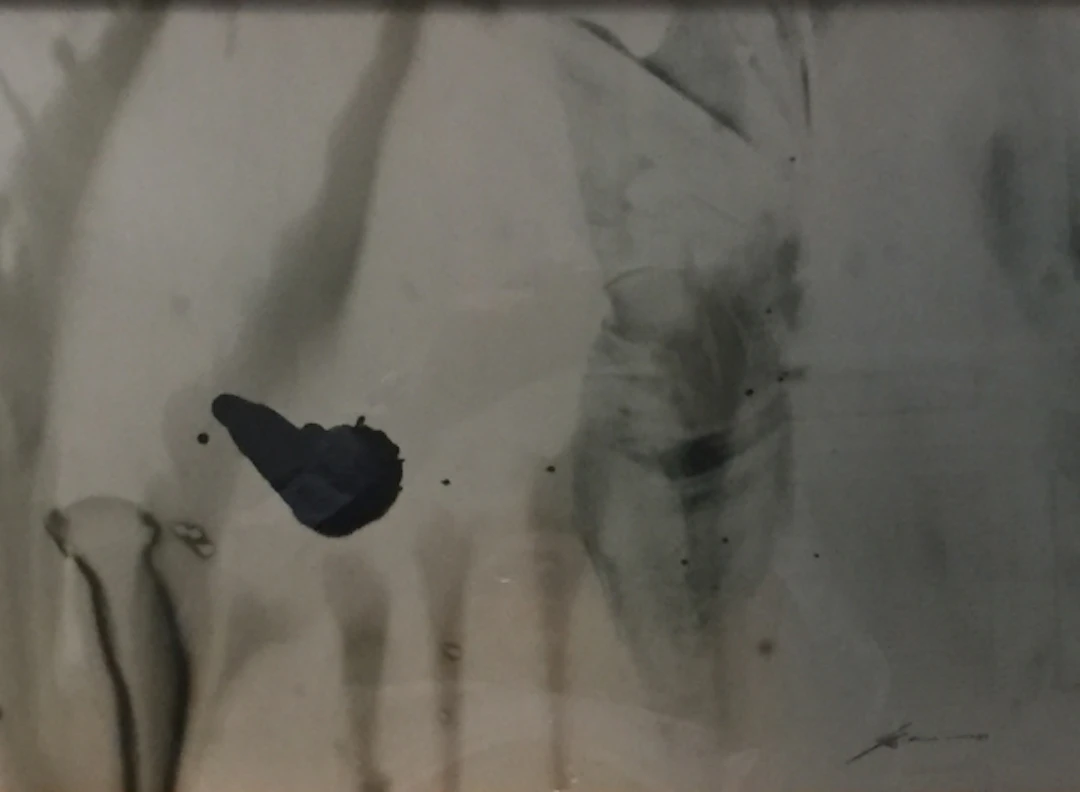 Werner BRANZ - The Spot, 1973 - Photolithographie signée