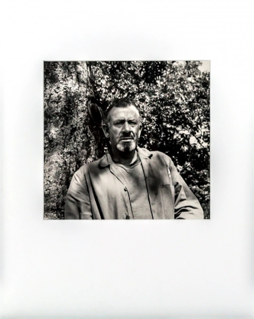 Roy SCHATT - John Steinbeck by Elia Kazan, 1955 - Photographie