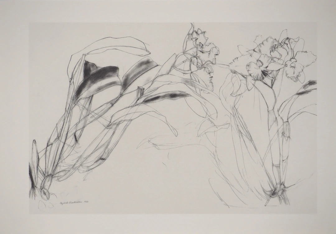 Elizabeth BLACKADDER : Orchidée, Héliogravure signée