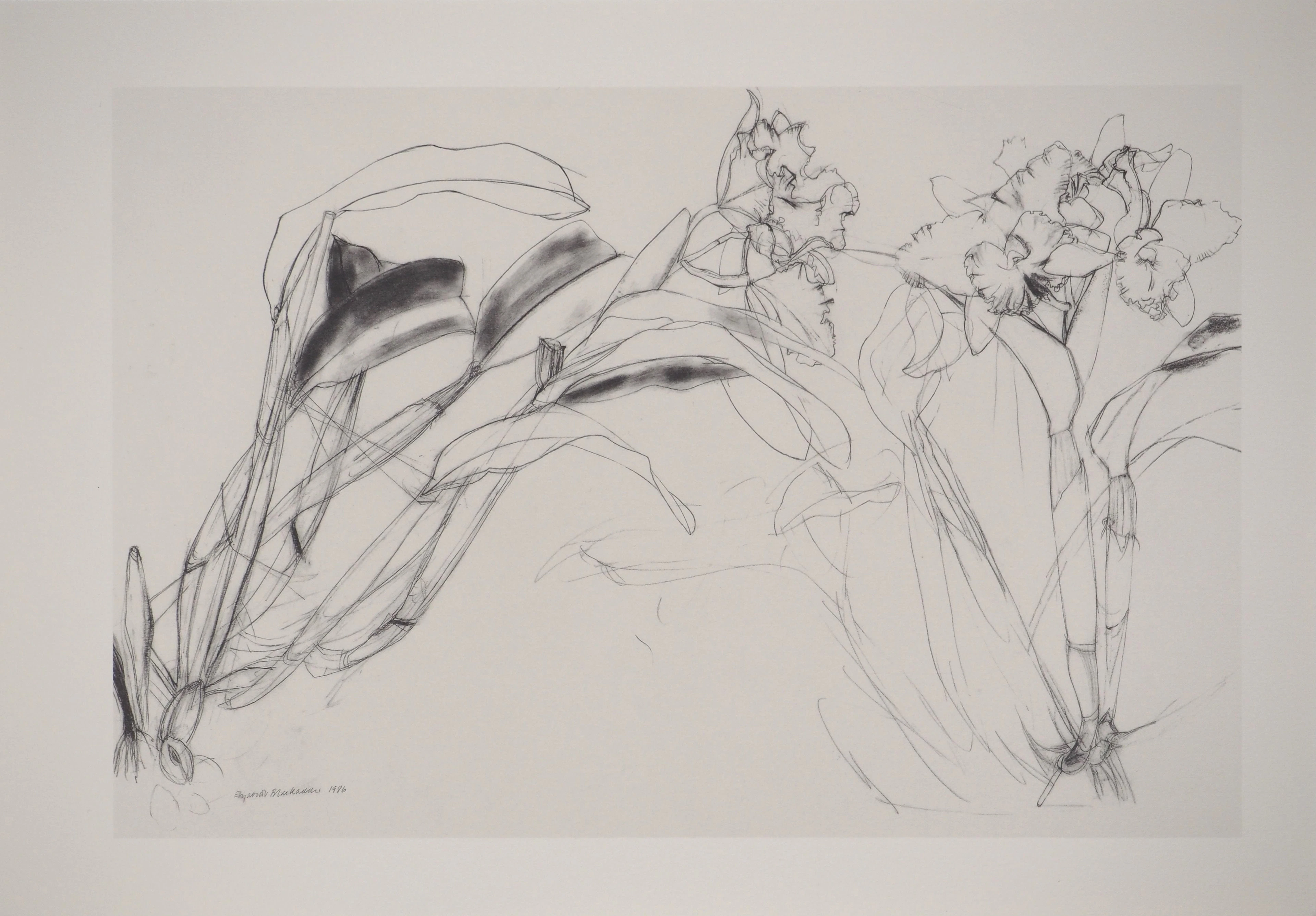 Elizabeth BLACKADDER : Orchidée, Héliogravure signée
