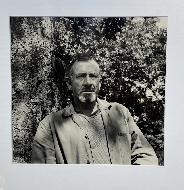 Roy Schatt - Photographie de John Steinbeck