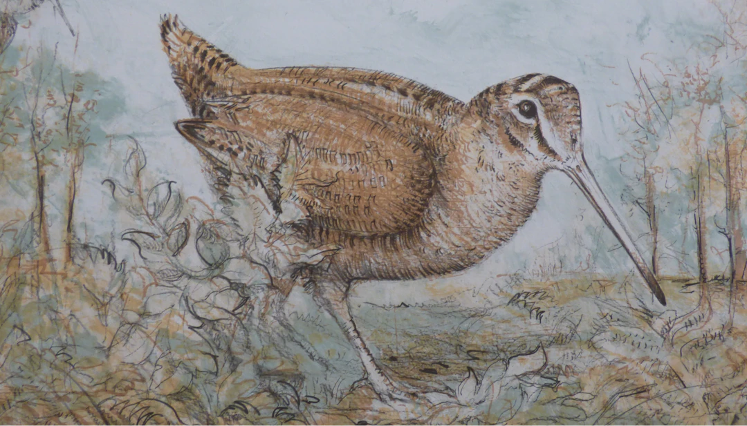 Blaise PRUD’HON - La Poule d’eau - Lithographie originale signée