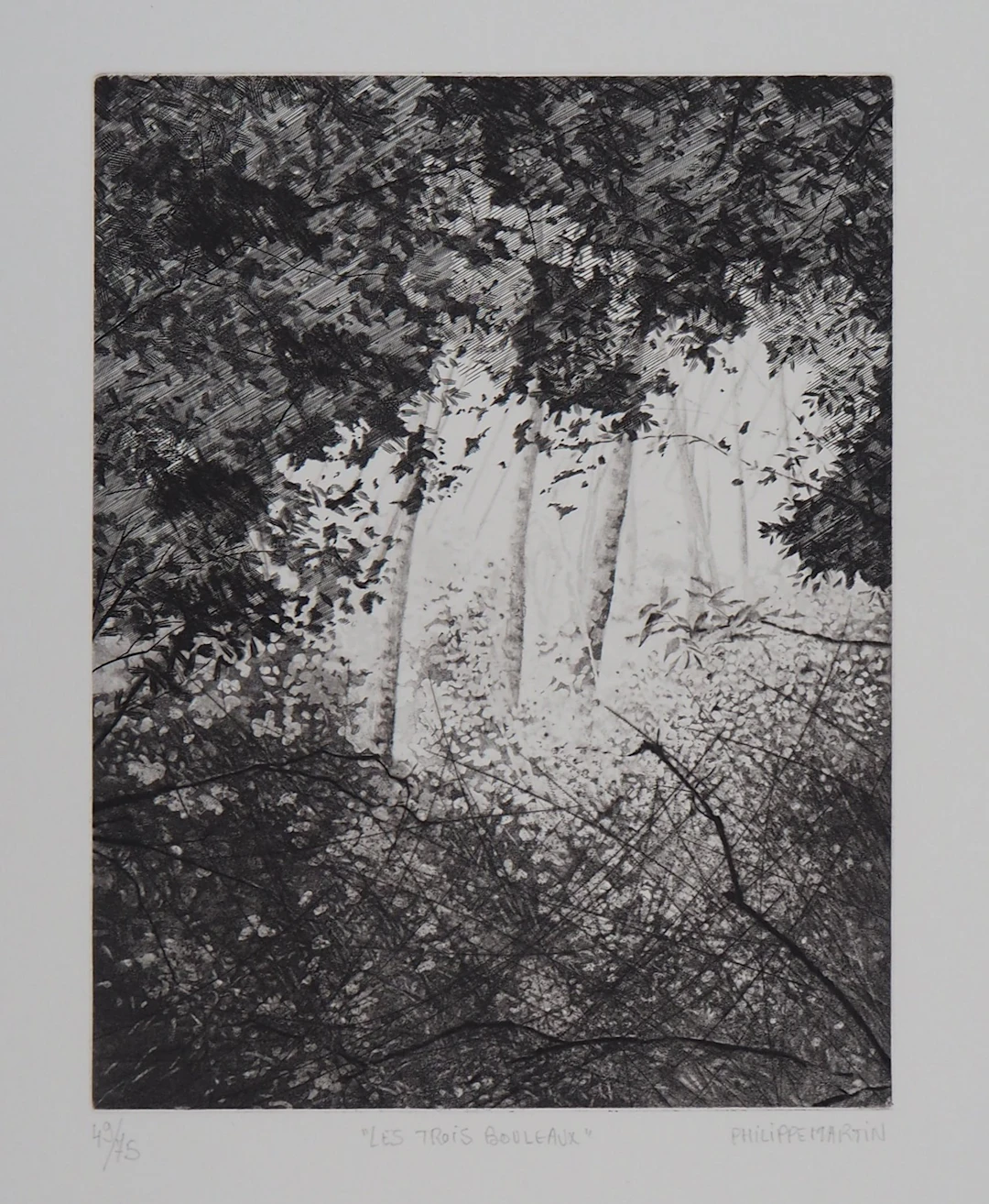 Philippe MARTIN : Les trois bouleaux - Gravure originale signée