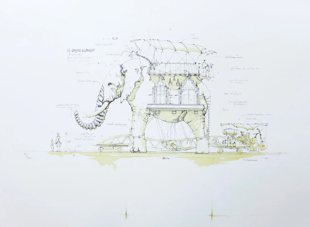 François DELAROZIERE - L’éléphant, 2008 - Lithographie signée au crayon