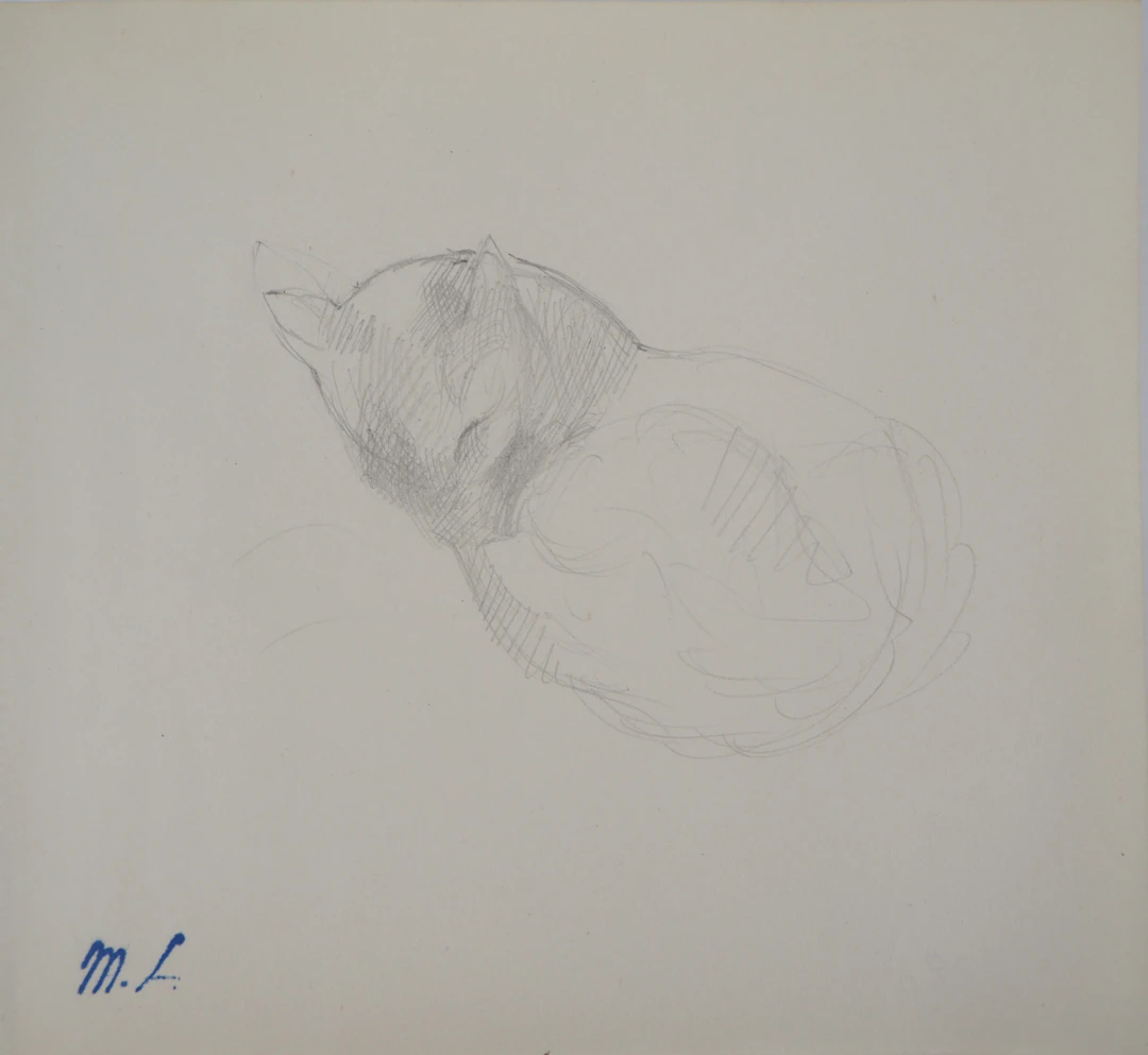 Marie LAURENCIN : Chat dormant, Dessin original signé