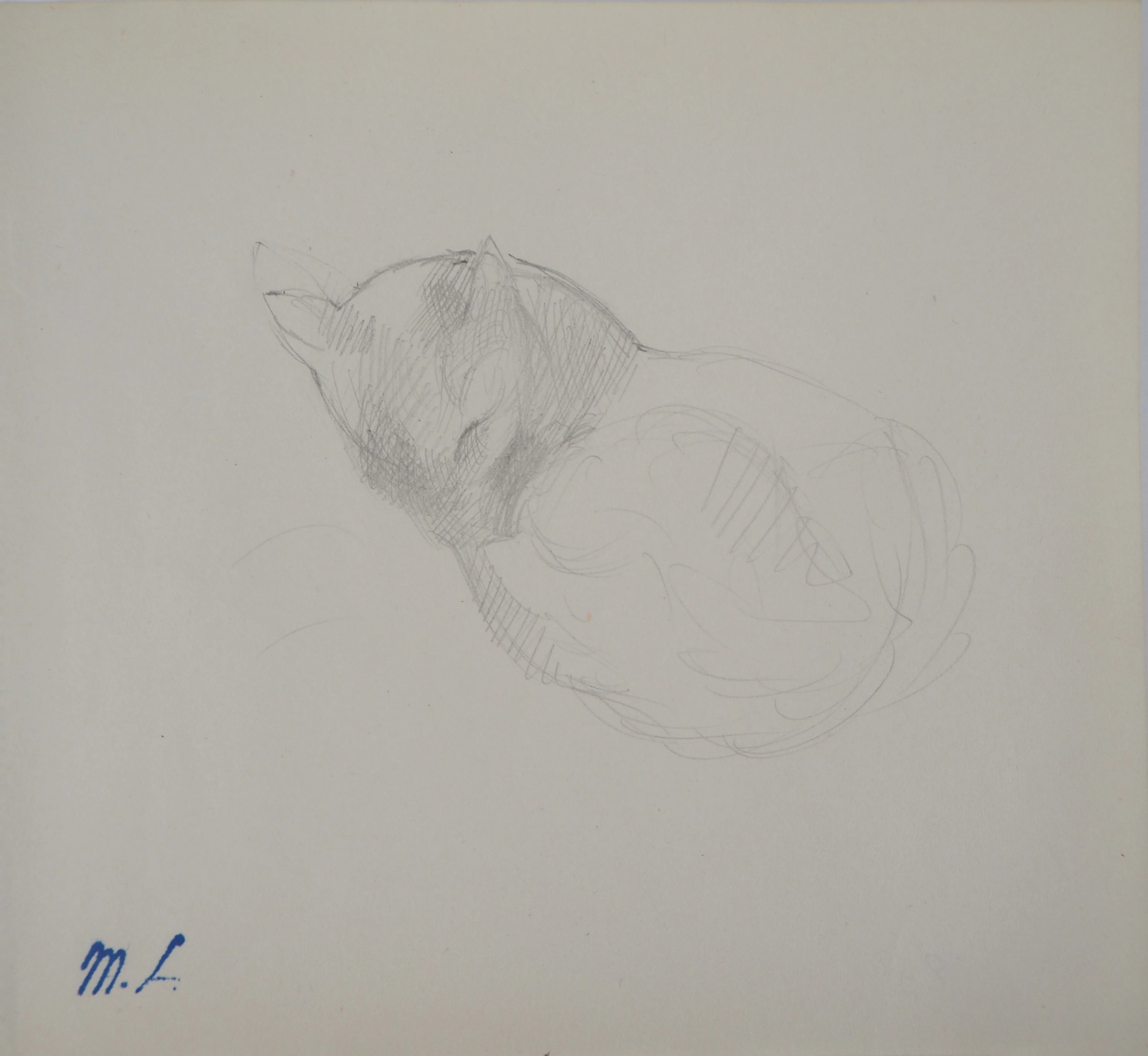 Marie LAURENCIN : Chat dormant, Dessin original signé