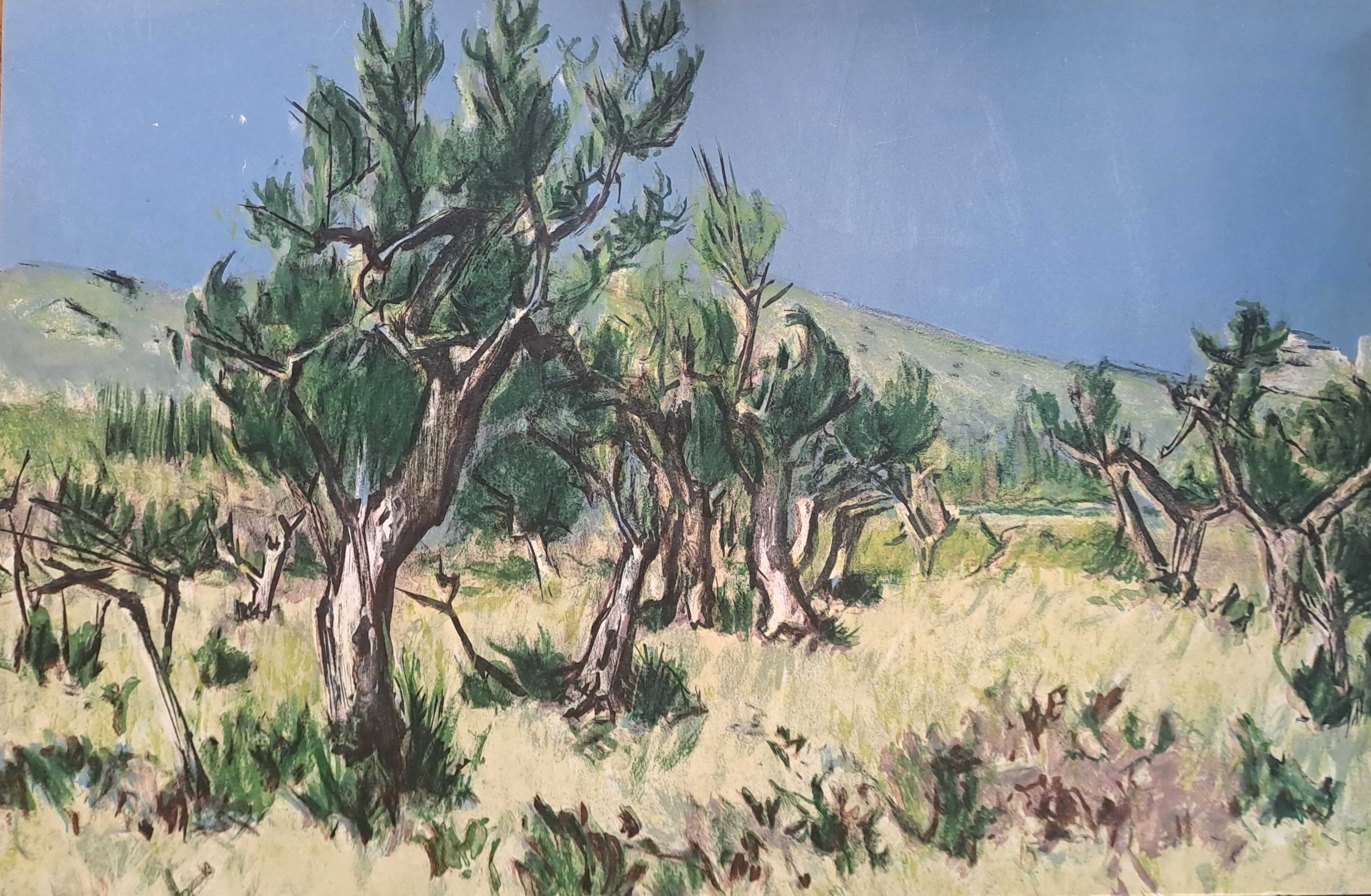 Robert Humblot (d’après) - Les oliviers - Lithographie originale