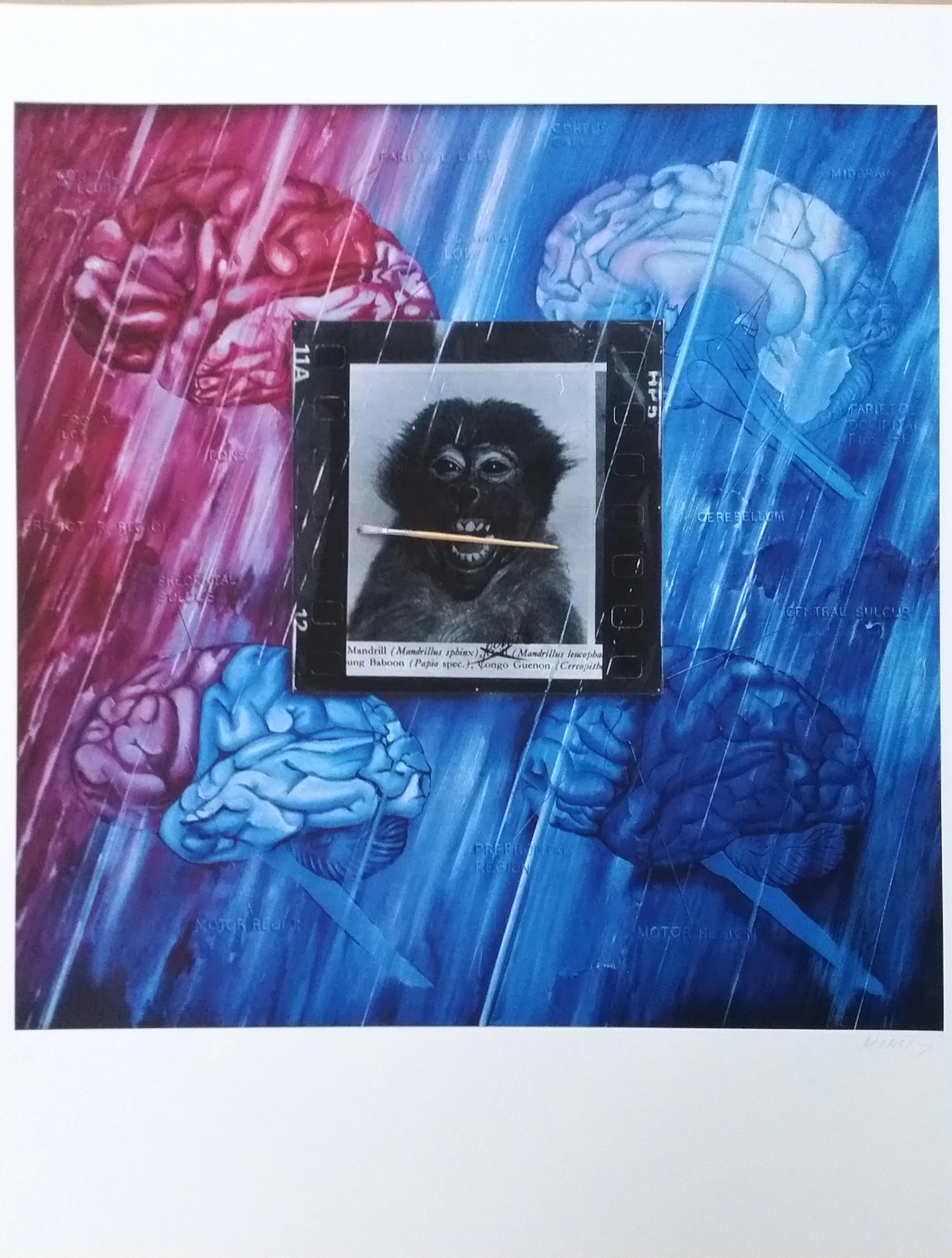 Jacques MONORY - Monkey, 1980 - Impression offset signée au crayon
