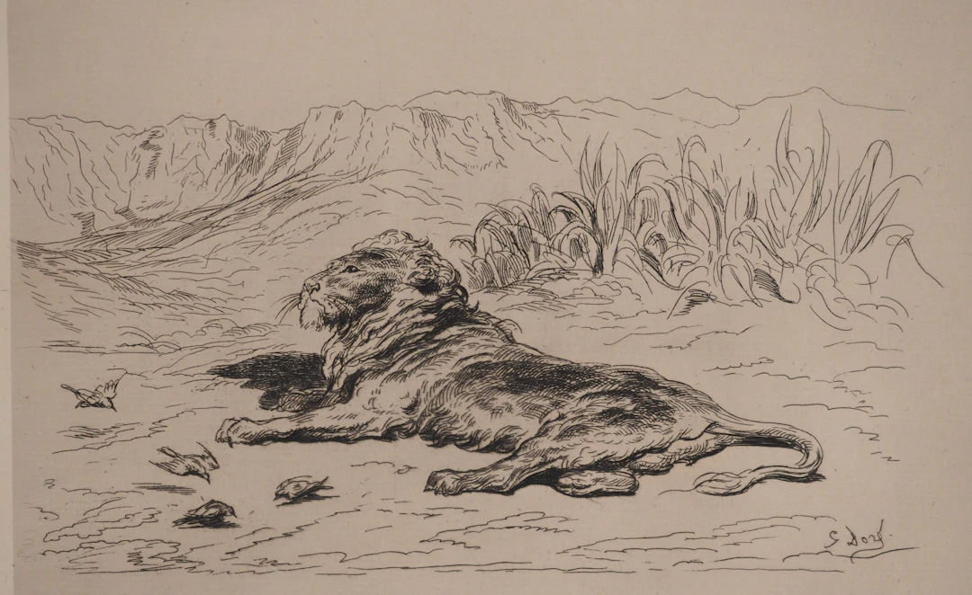 Gustave DORE : Le Lion, Gravure originale signée