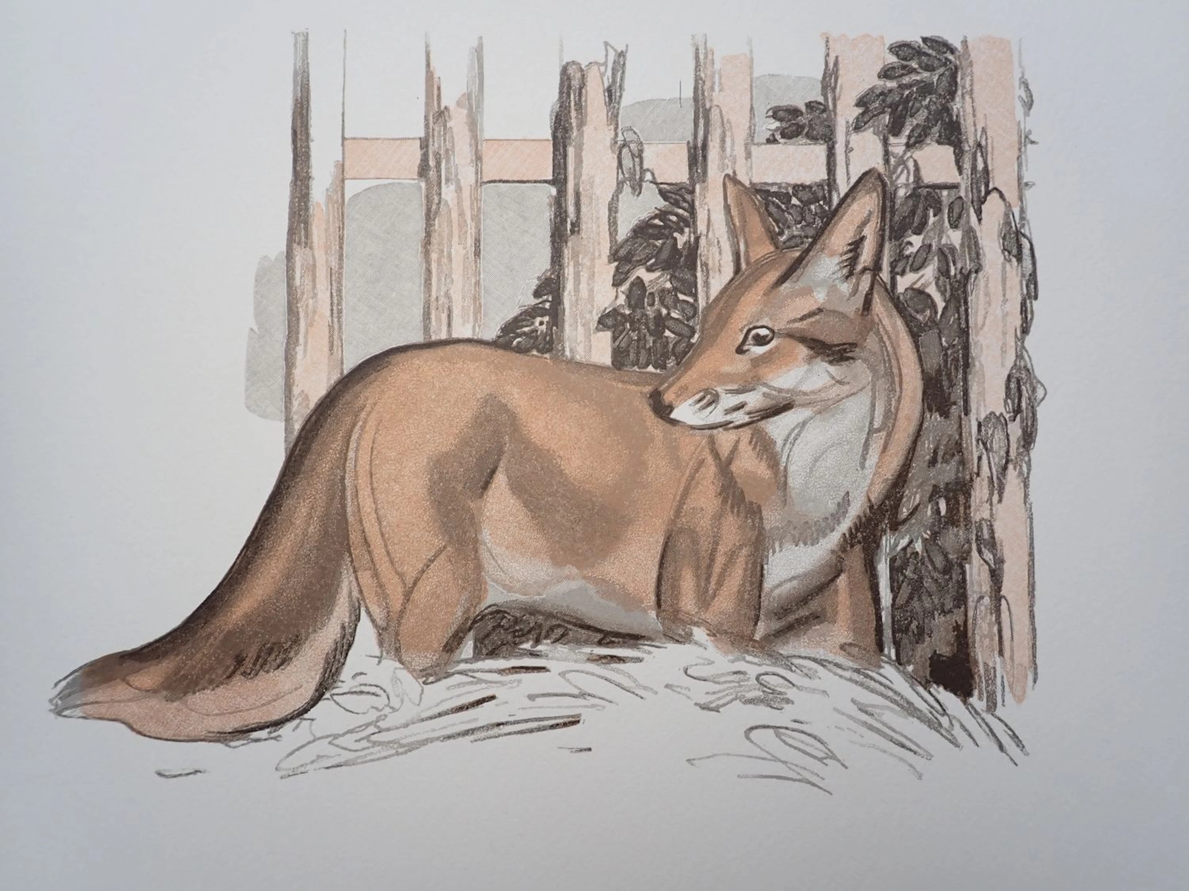 Paul JOUVE - Le renard près de la barrière - Gravure sur bois