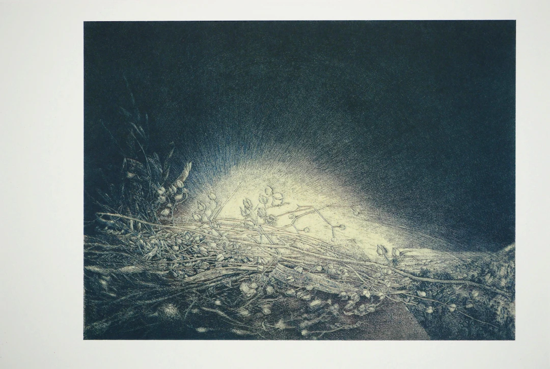 Jean-Pierre VELLY : L’ombre, la lumière, Héliogravure