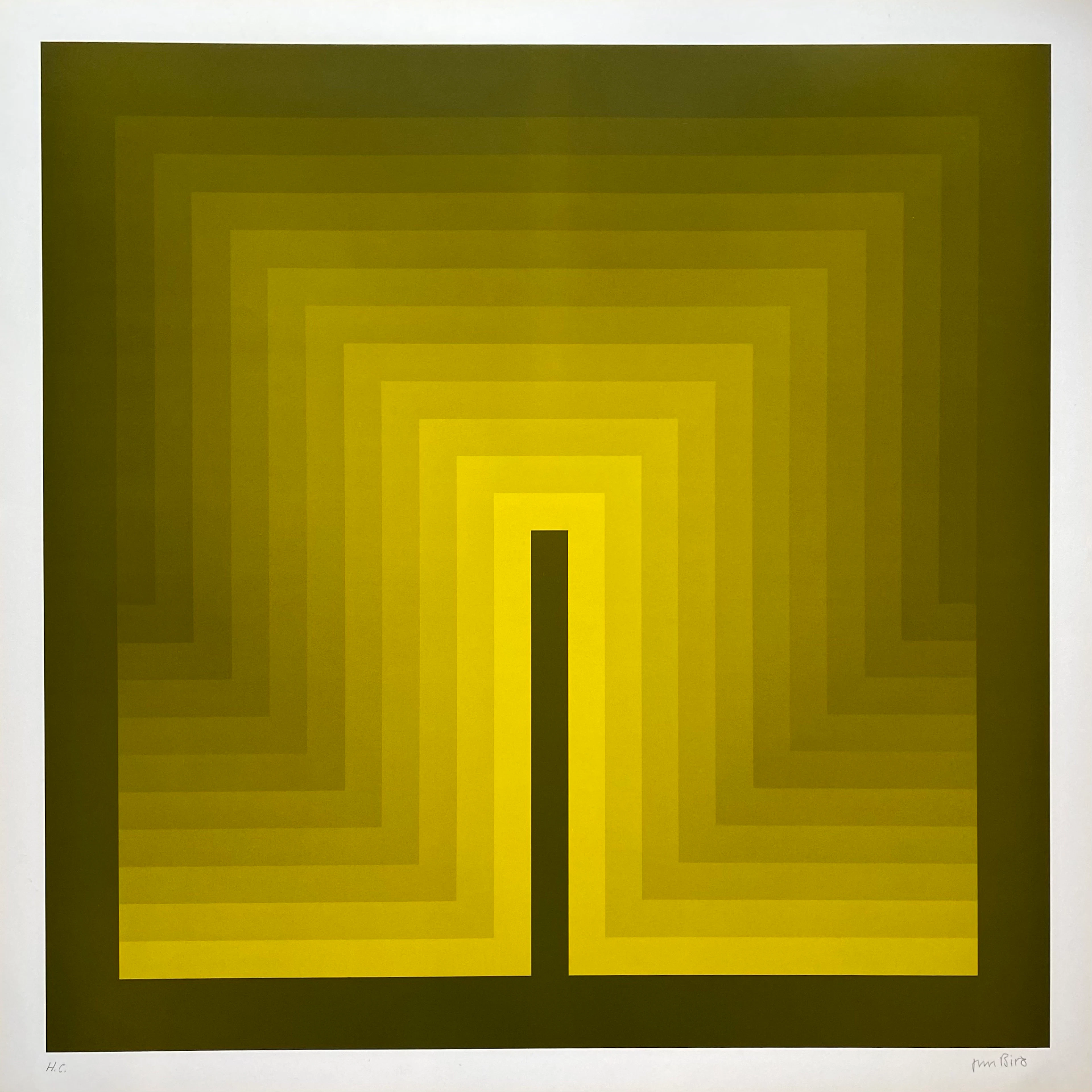 Jim Bird - tribute to Vasarely