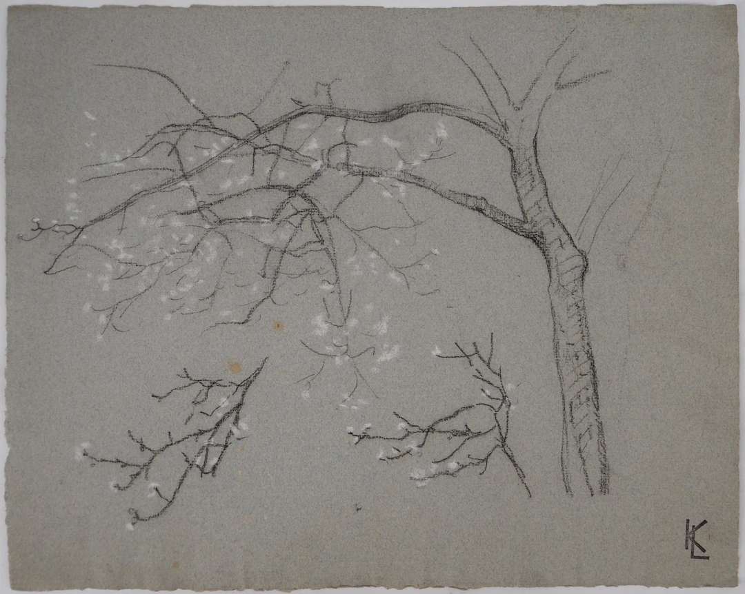 Léopold Franz KOWALSKI: Branche en fleur, dessin original