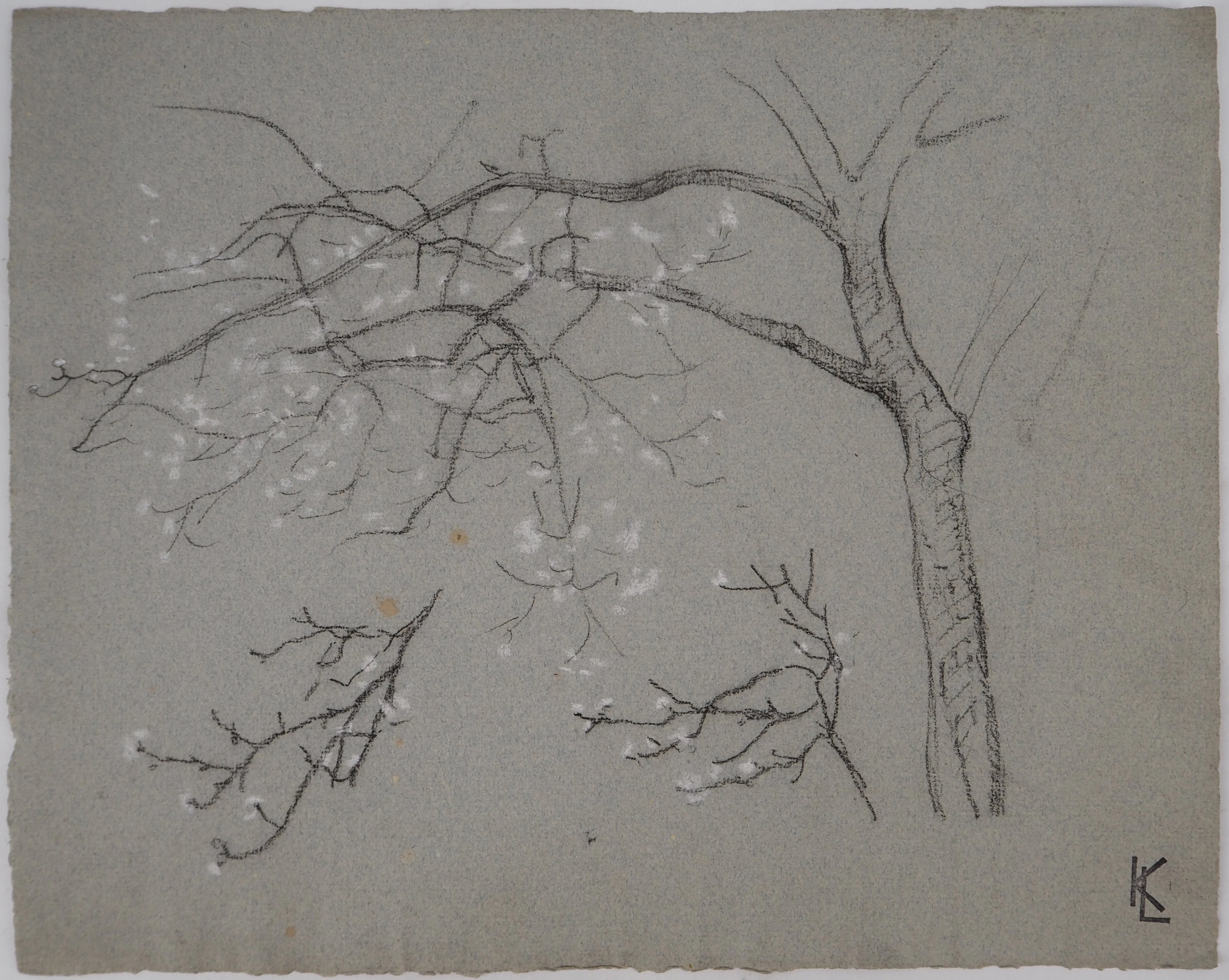 Léopold Franz KOWALSKI: Branche en fleur, dessin original