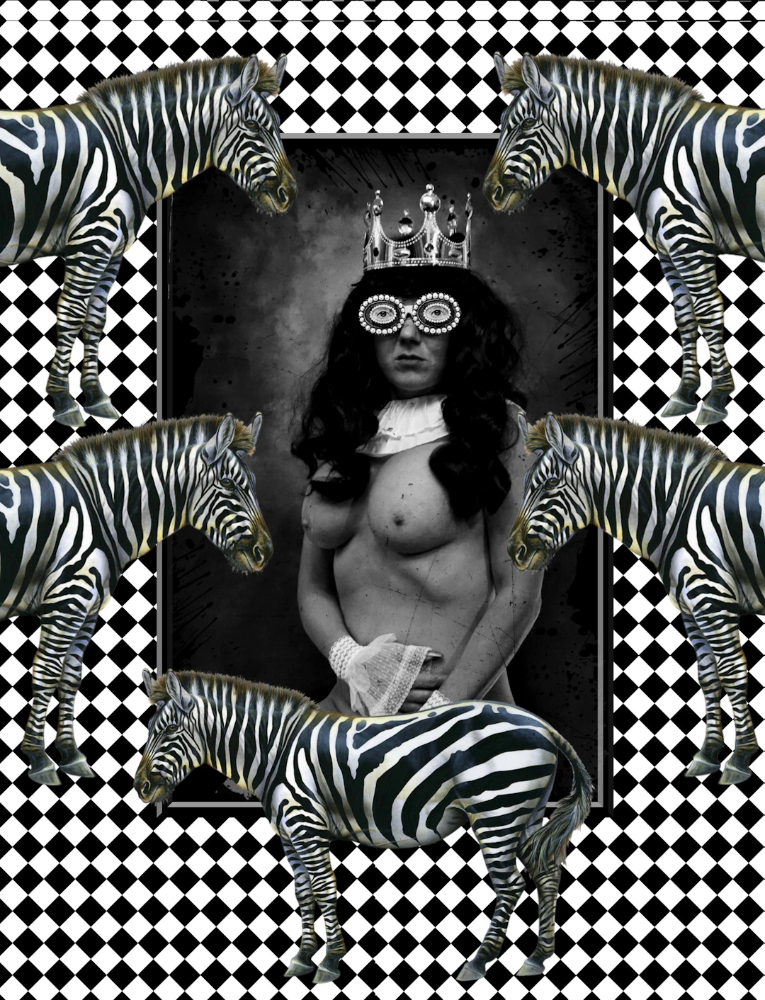Gaudi .C - la-reine-zebra (2017) - impression numérique