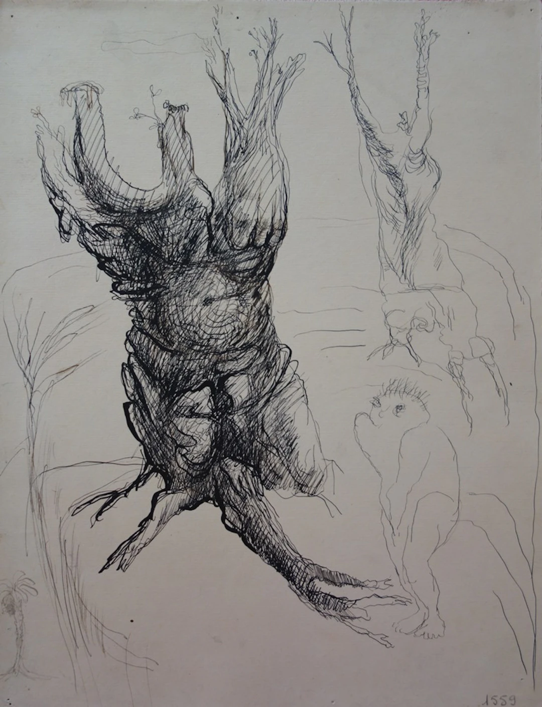 Edouard Goerg - Tronc anthropomorphe - Dessin original signé