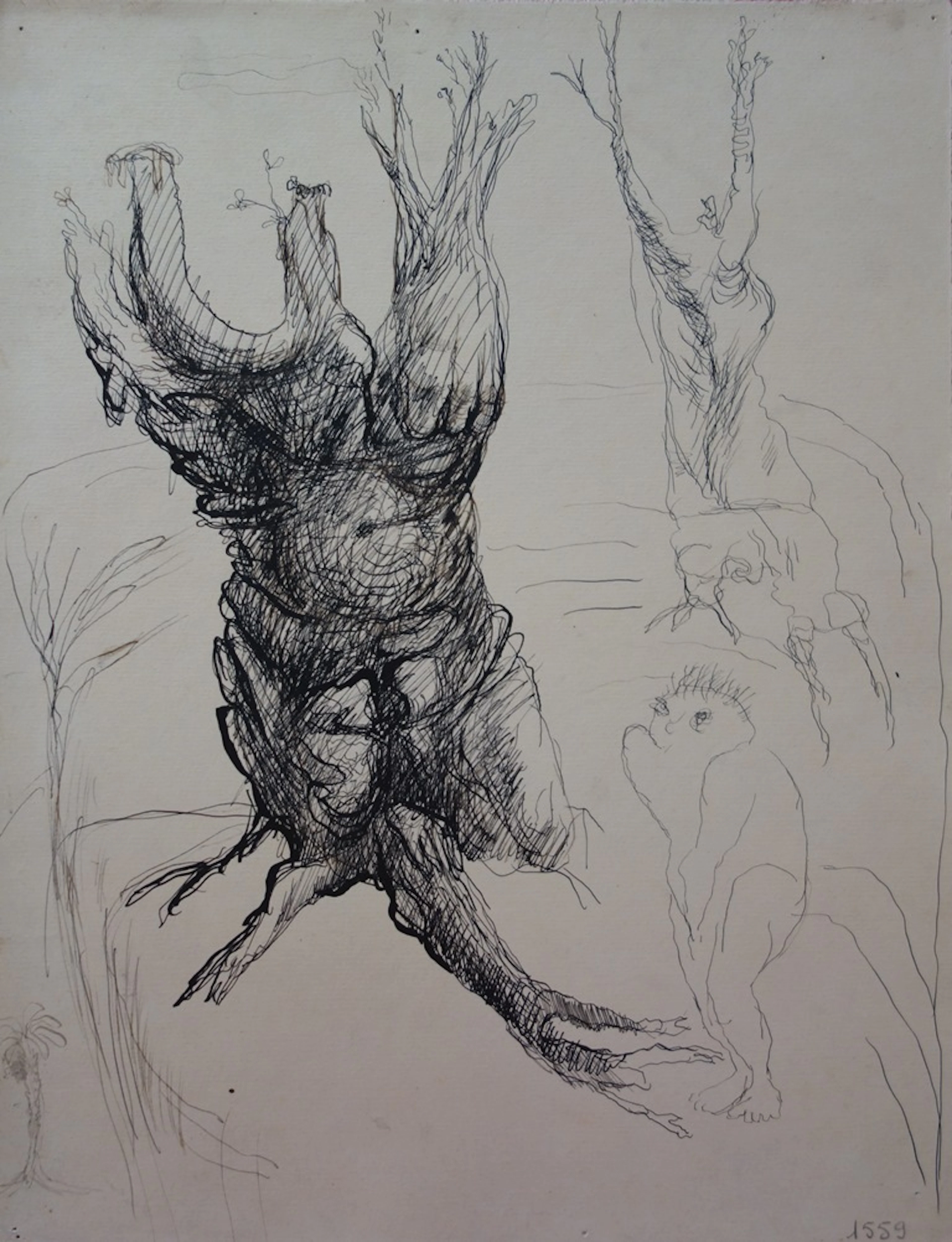 Edouard Goerg - Tronc anthropomorphe - Dessin original signé