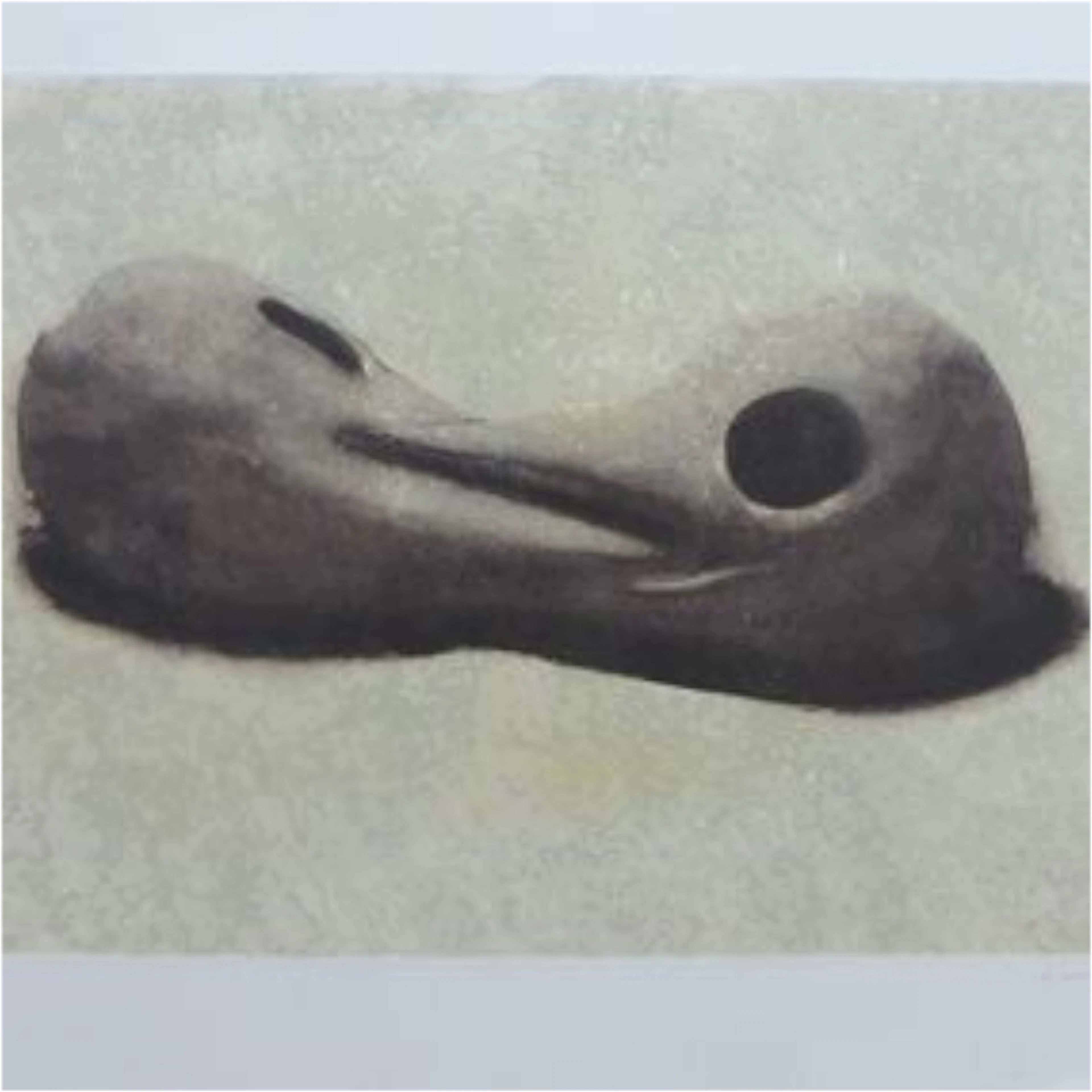 Daniel SENISE - El eslabón perdido, 1999 - Eau-forte