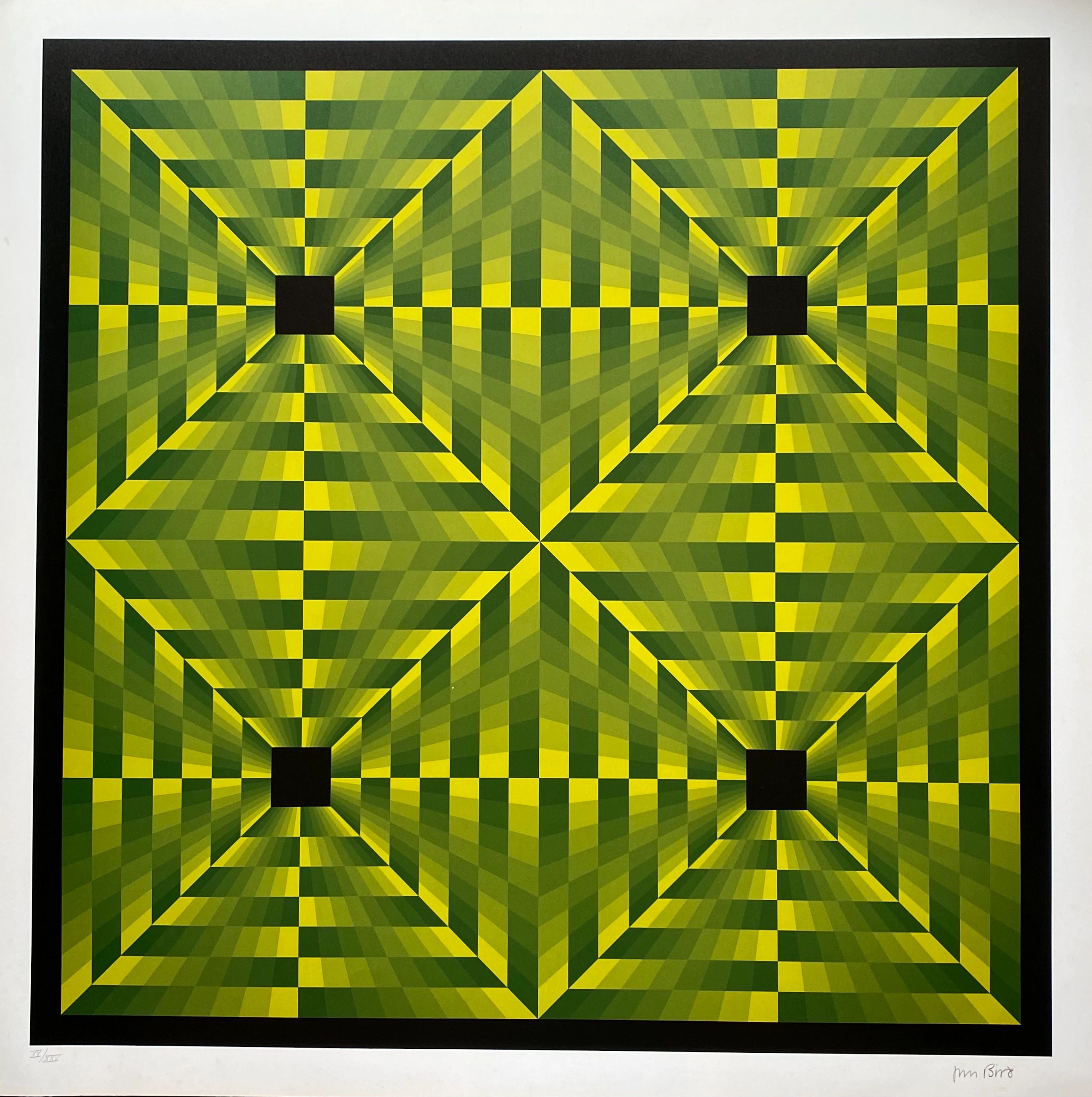 Jim Bird - tribute to Vasarely