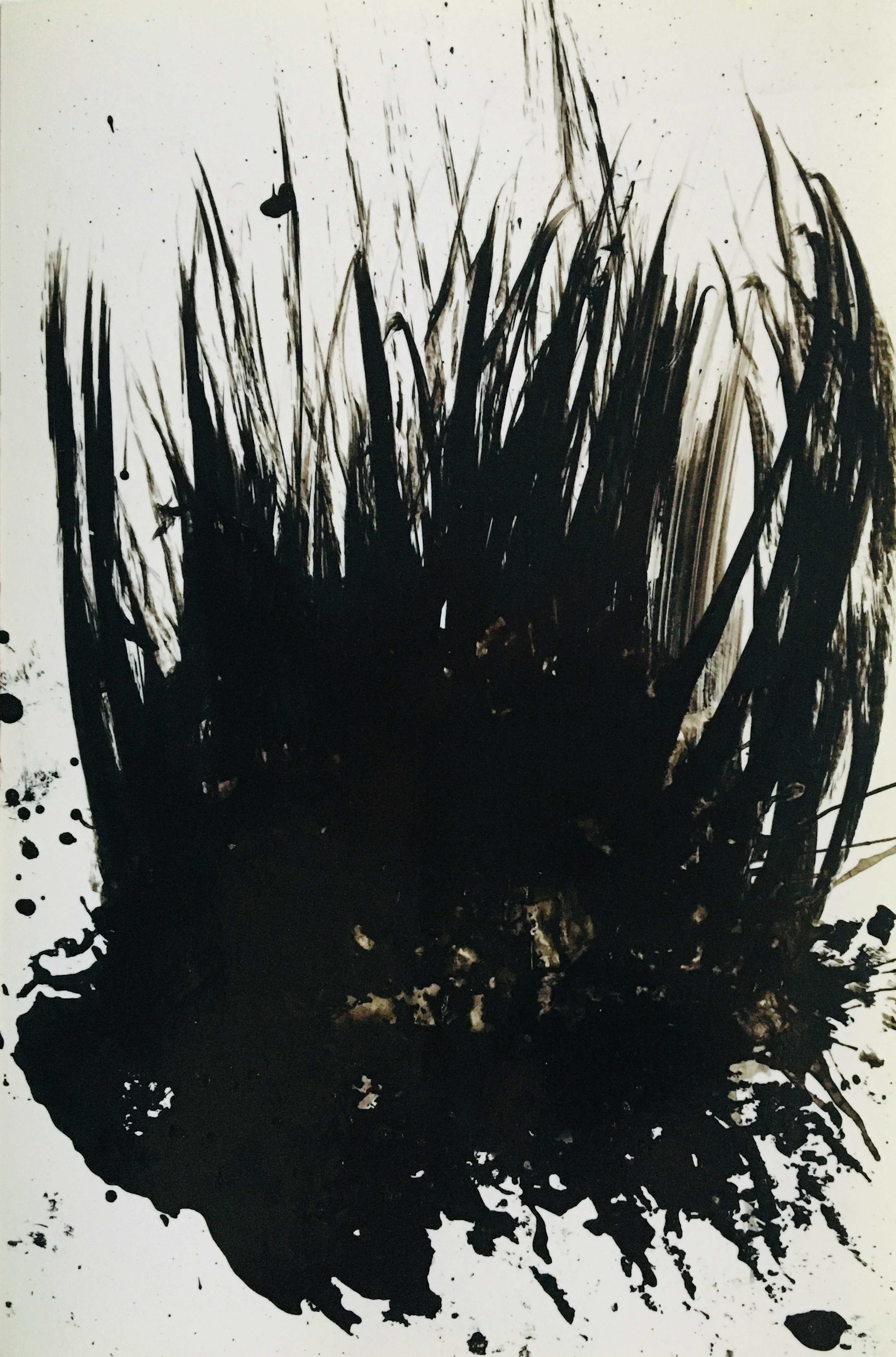 Philippe COGNEE - Broussailles, 2016 - Dessin signé