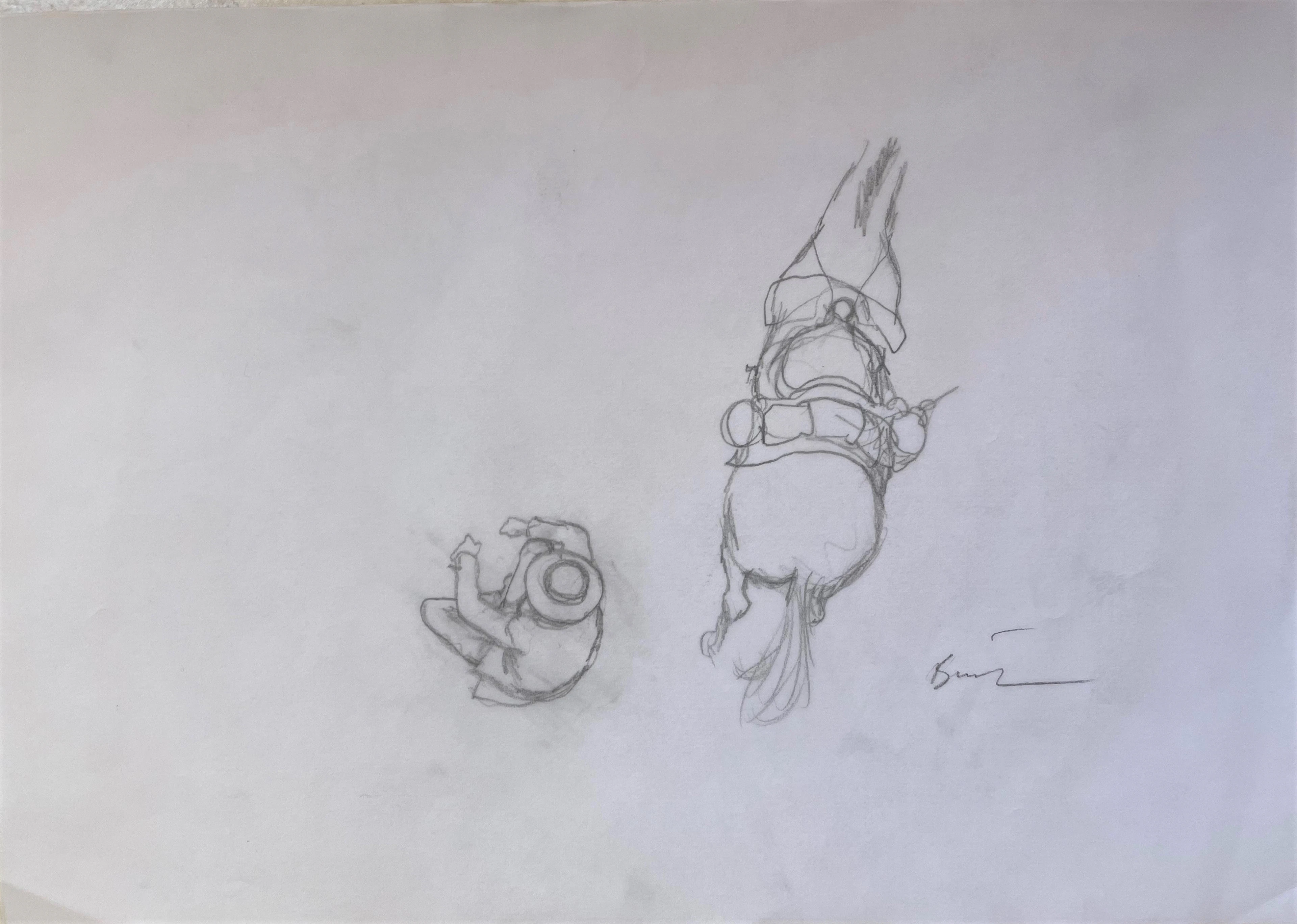 Enki BILAL - Animal’Z - Dessin original